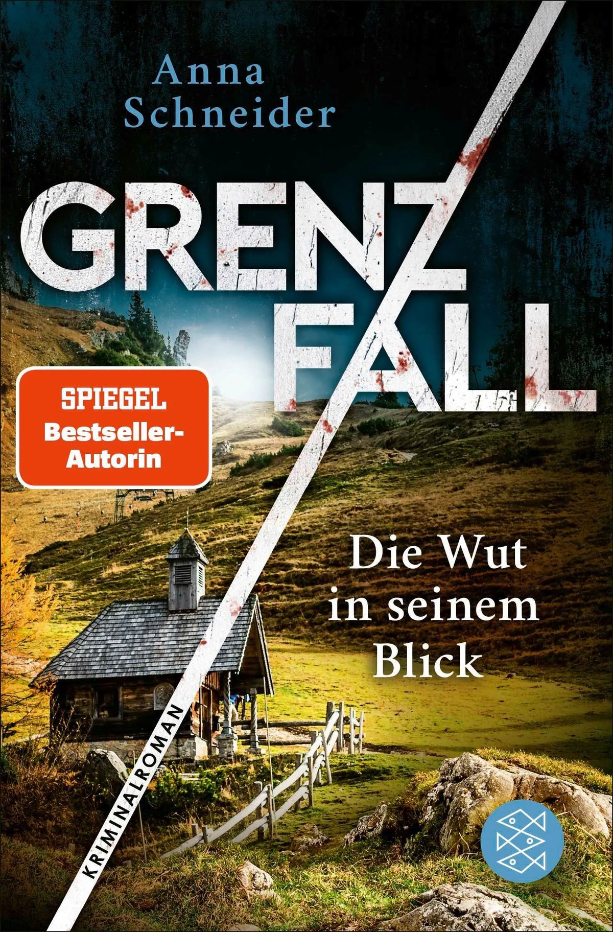 Cover: Grenzfall – Die Wut in seinem Blick (Taschenbuch) von Anna Schneider