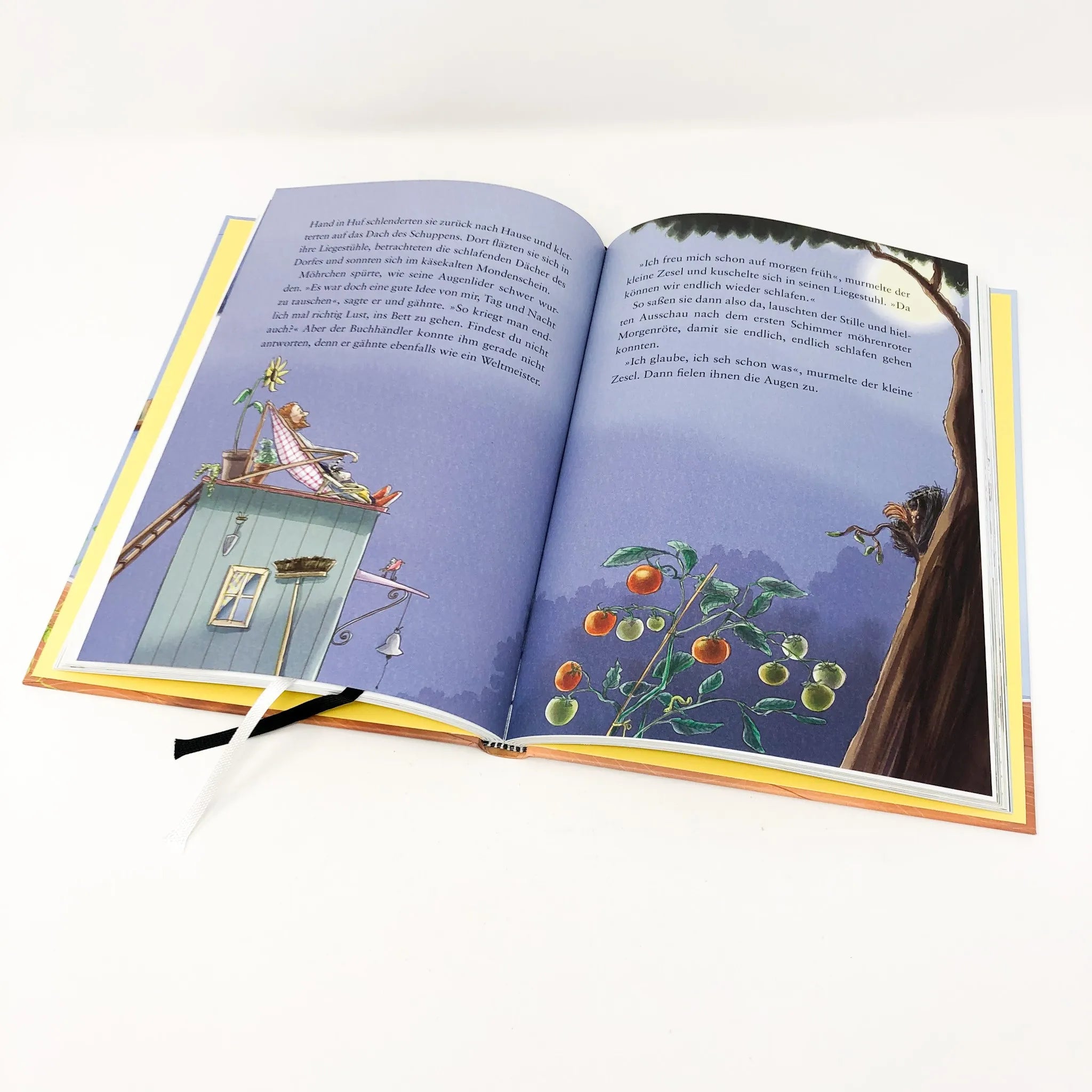 Detailansicht: Grimm und Möhrchen – Ein Zesel zieht ein (Hardcover)