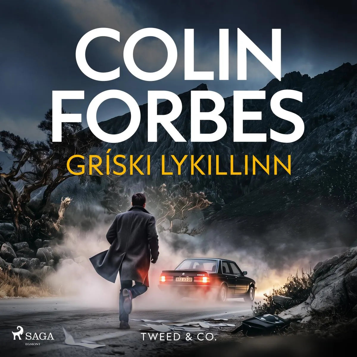 Cover: Gríski lykillinn (Hörbuch Download) von Colin Forbes