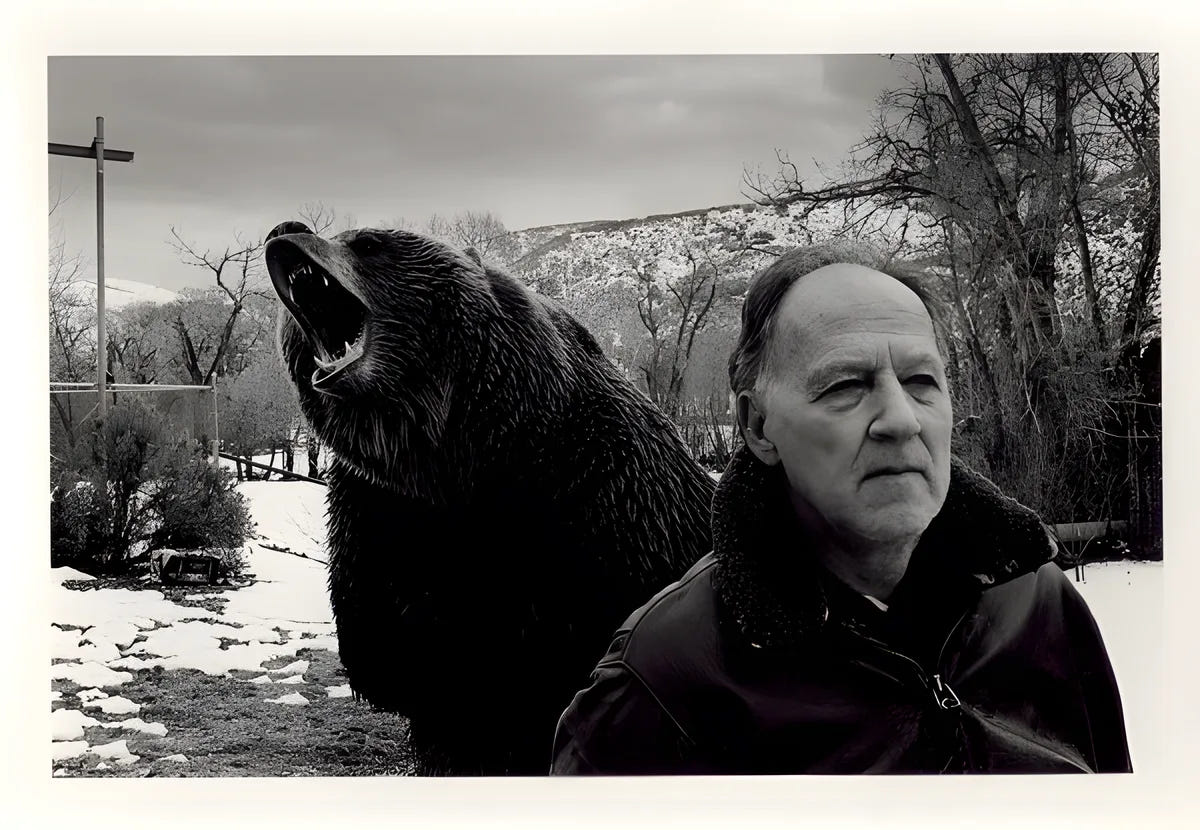 Filmszene 1 aus Grizzly Man – Blu-ray. Regie: Werner Herzog