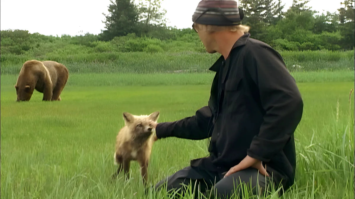 Filmszene 3 aus Grizzly Man – Blu-ray. Regie: Werner Herzog