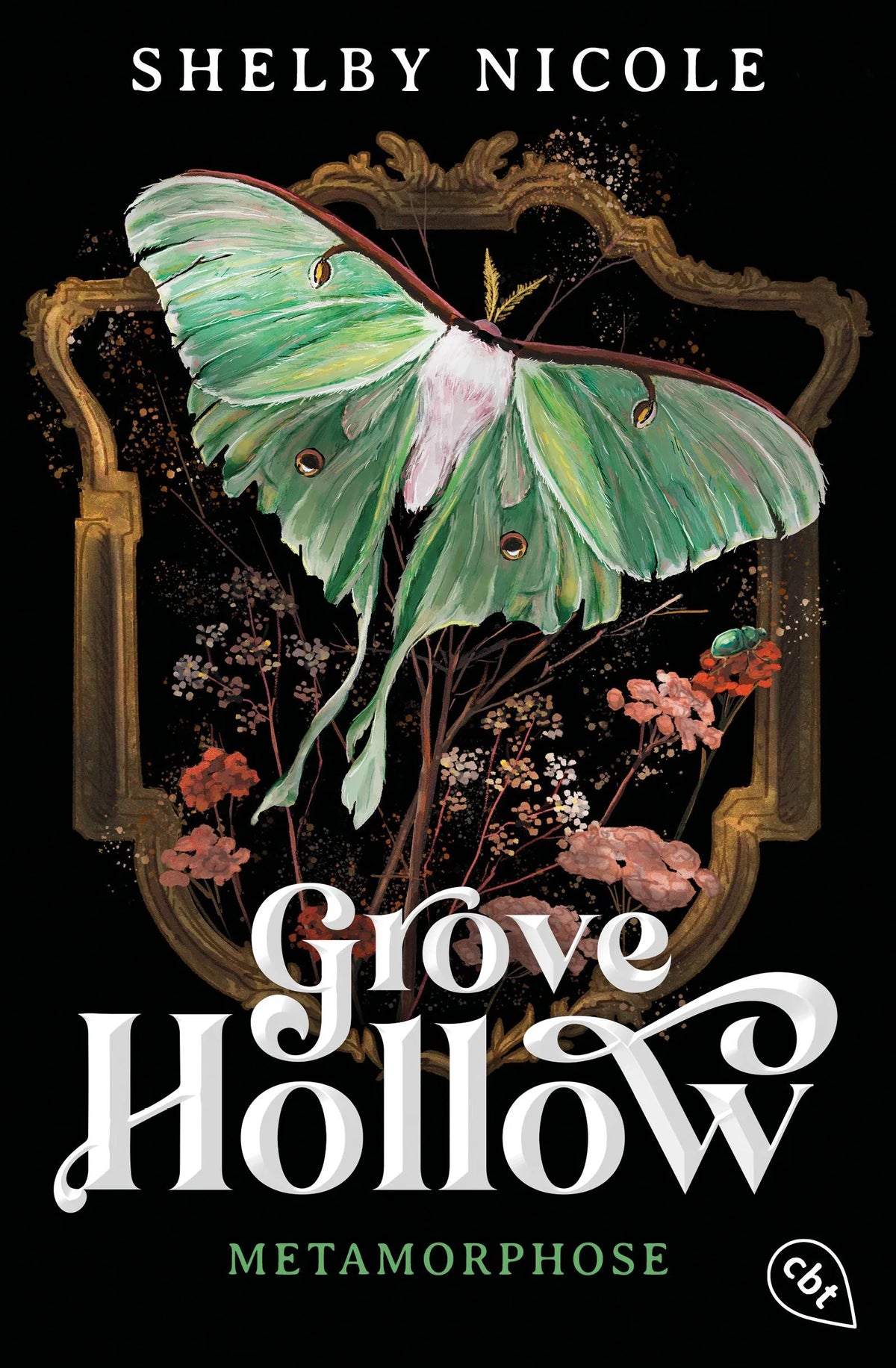 Cover: Grove Hollow (Paperback) von Shelby Nicole