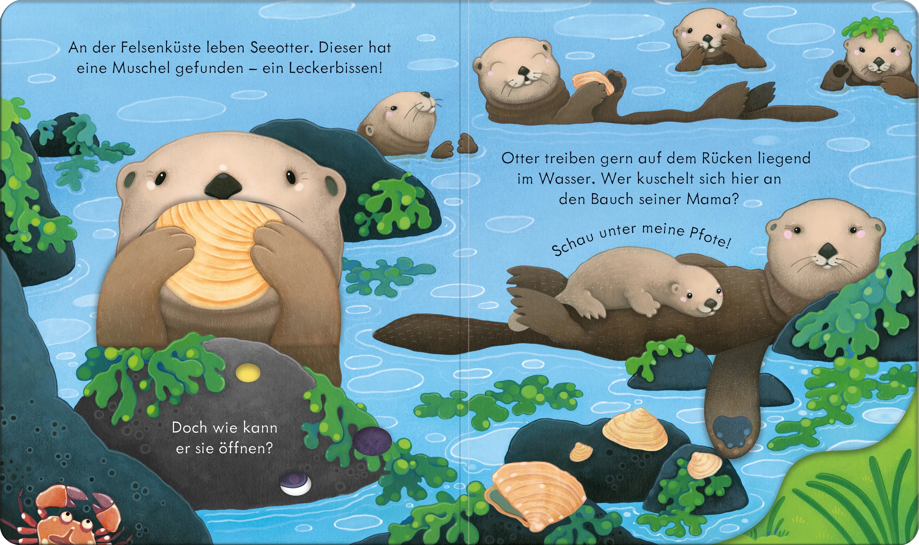 Produktansicht: Guck mal, wer da ist! An der Küste (Gebundene Ausgabe)
