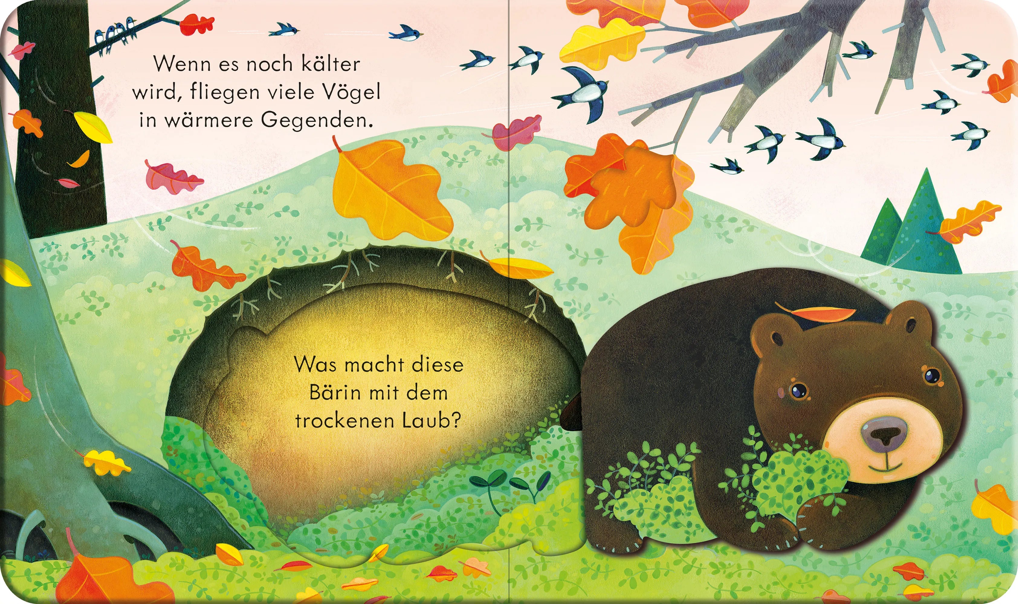 Detailansicht: Guck mal, wer da ist! Im Herbst (Hardcover)