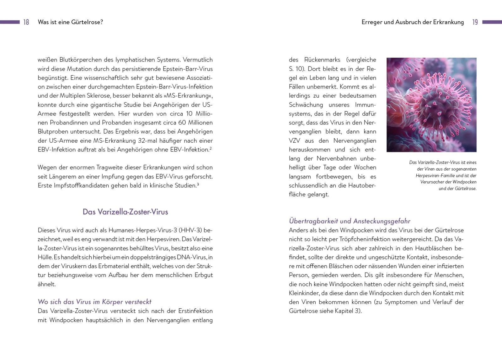 Innenansicht von 'Gürtelrose' - Taschenbuch