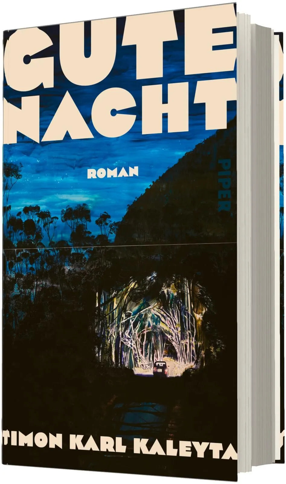 Detailansicht: Gute Nacht (Hardcover)