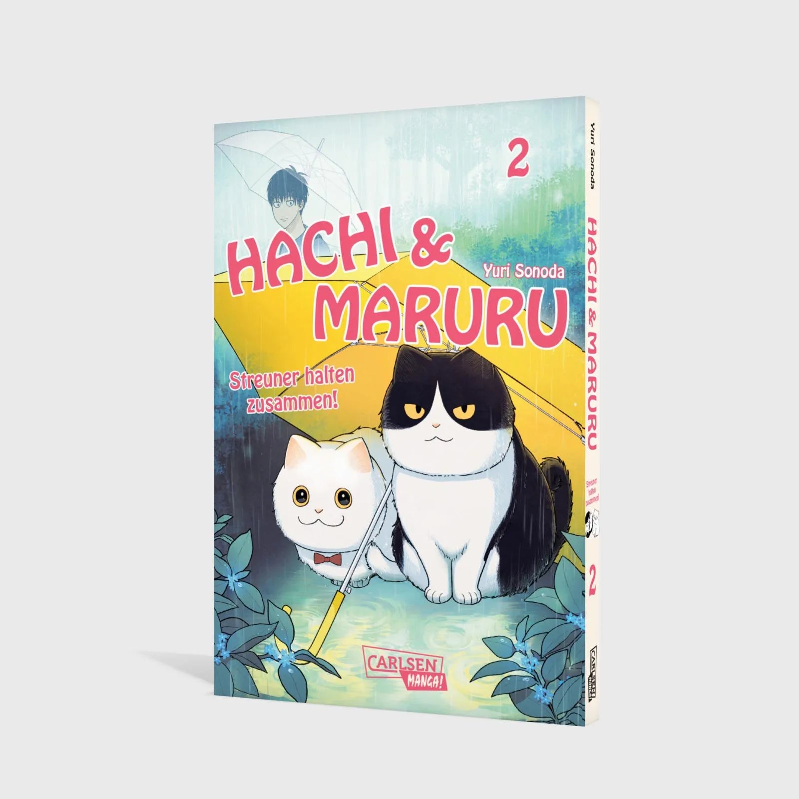 Abbildung von 'Hachi & Maruru – Streuner halten zusammen! 2'