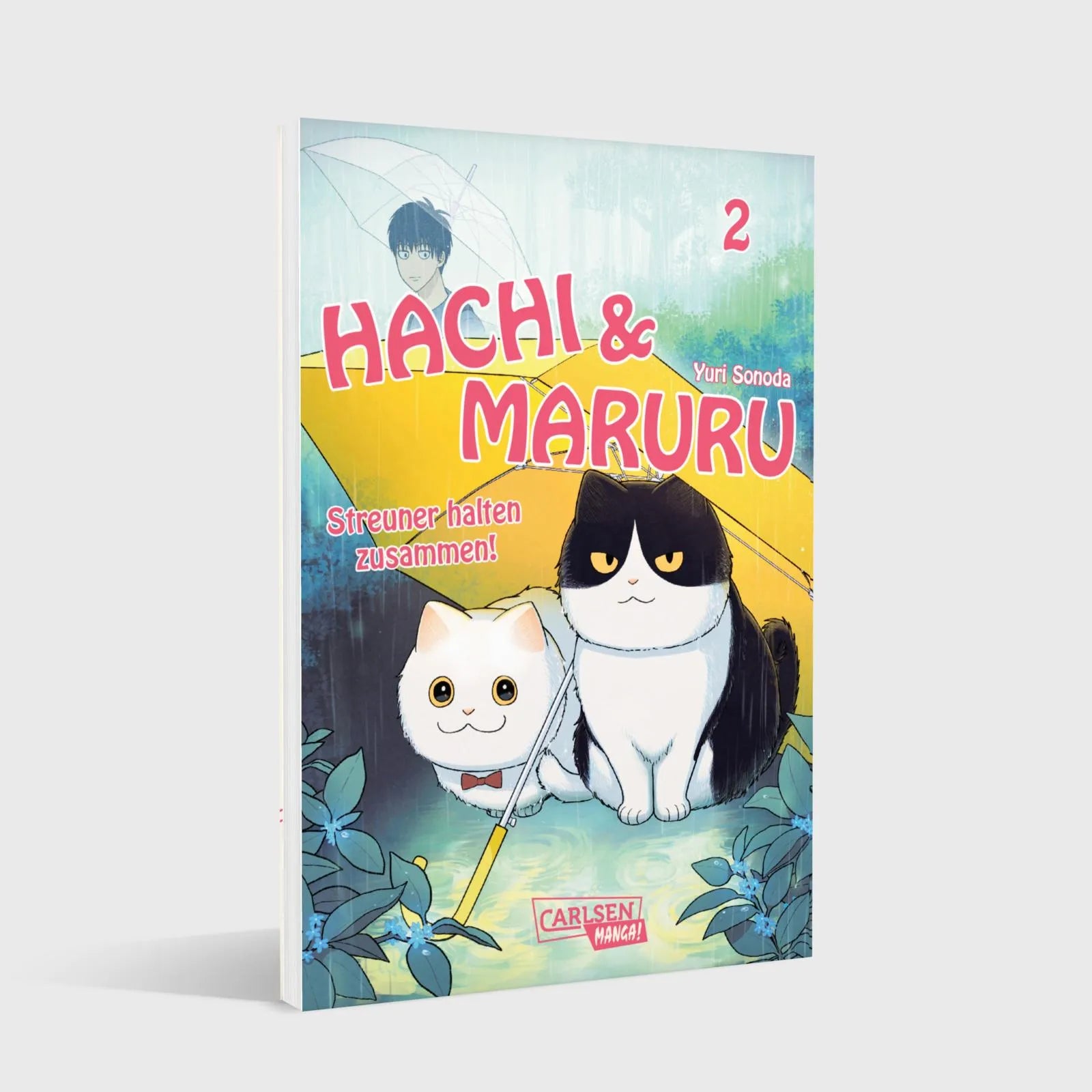 Produktansicht: Hachi & Maruru – Streuner halten zusammen! 2 (Taschenbuch)
