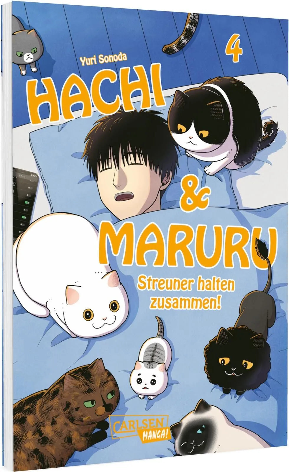 Cover: Hachi & Maruru – Streuner halten zusammen! 4 (Taschenbuch) von Yuri Sonoda