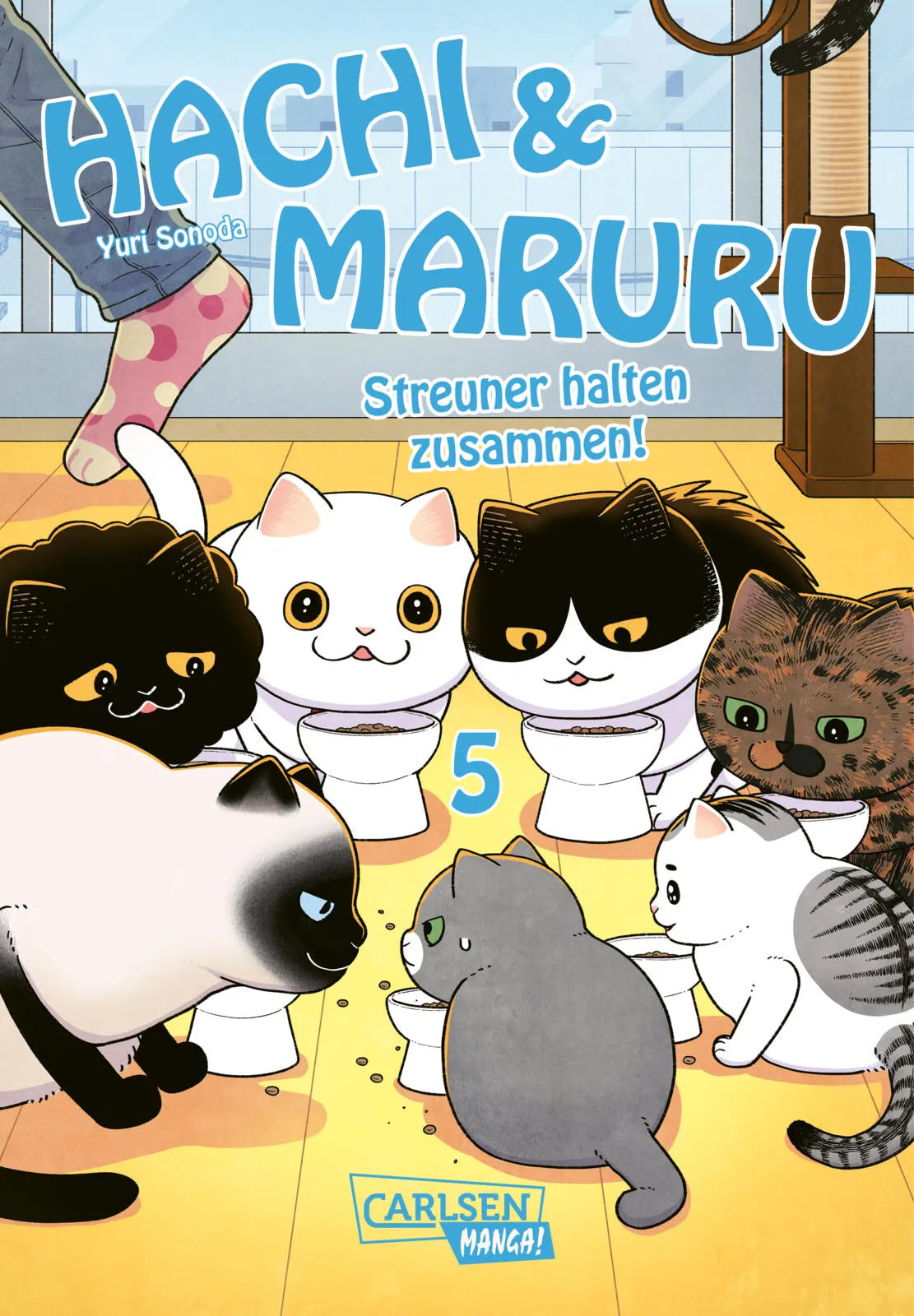 Cover: Hachi & Maruru – Streuner halten zusammen! 5 (Taschenbuch) von Yuri Sonoda