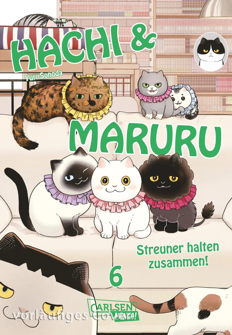 Hachi & Maruru – Streuner halten zusammen! 6