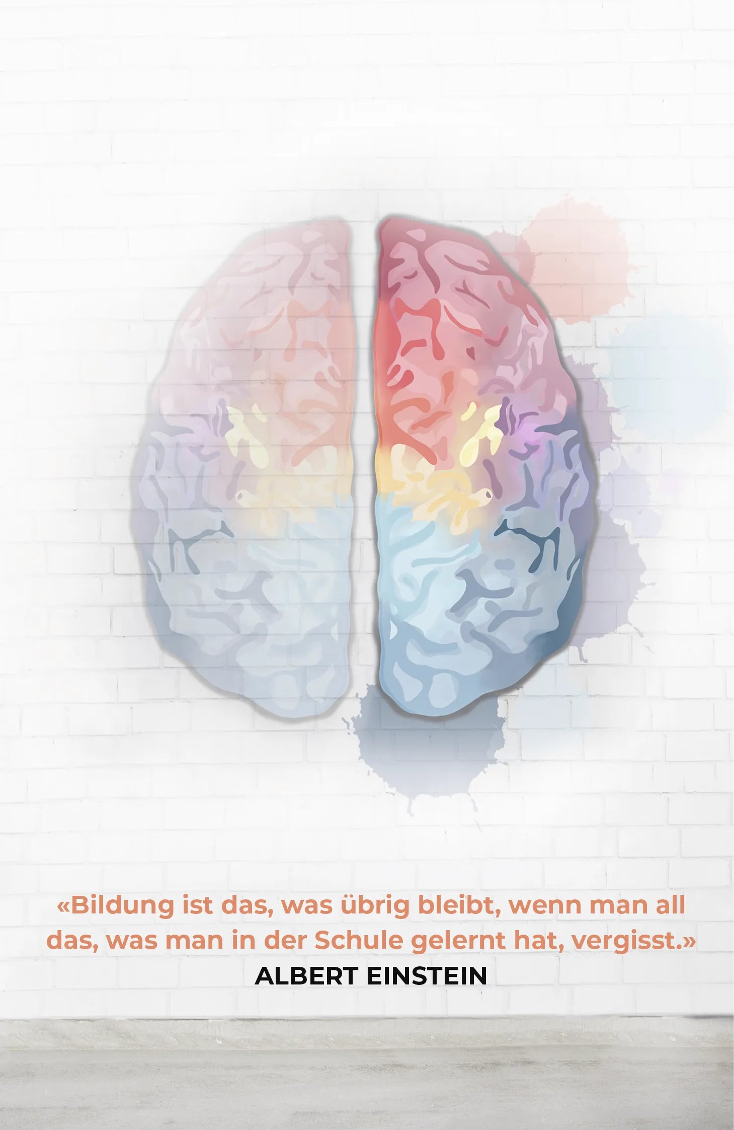 Detailansicht: Hätte ich das mal früher gewusst! (Taschenbuch)