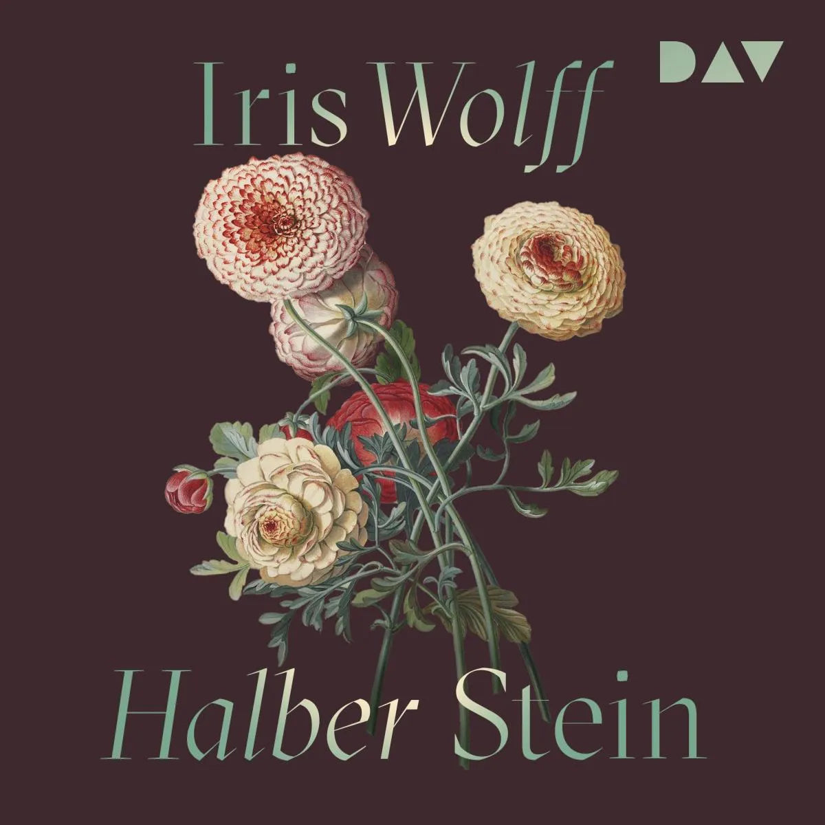 Cover: Halber Stein (Hörbuch Download) von Iris Wolff