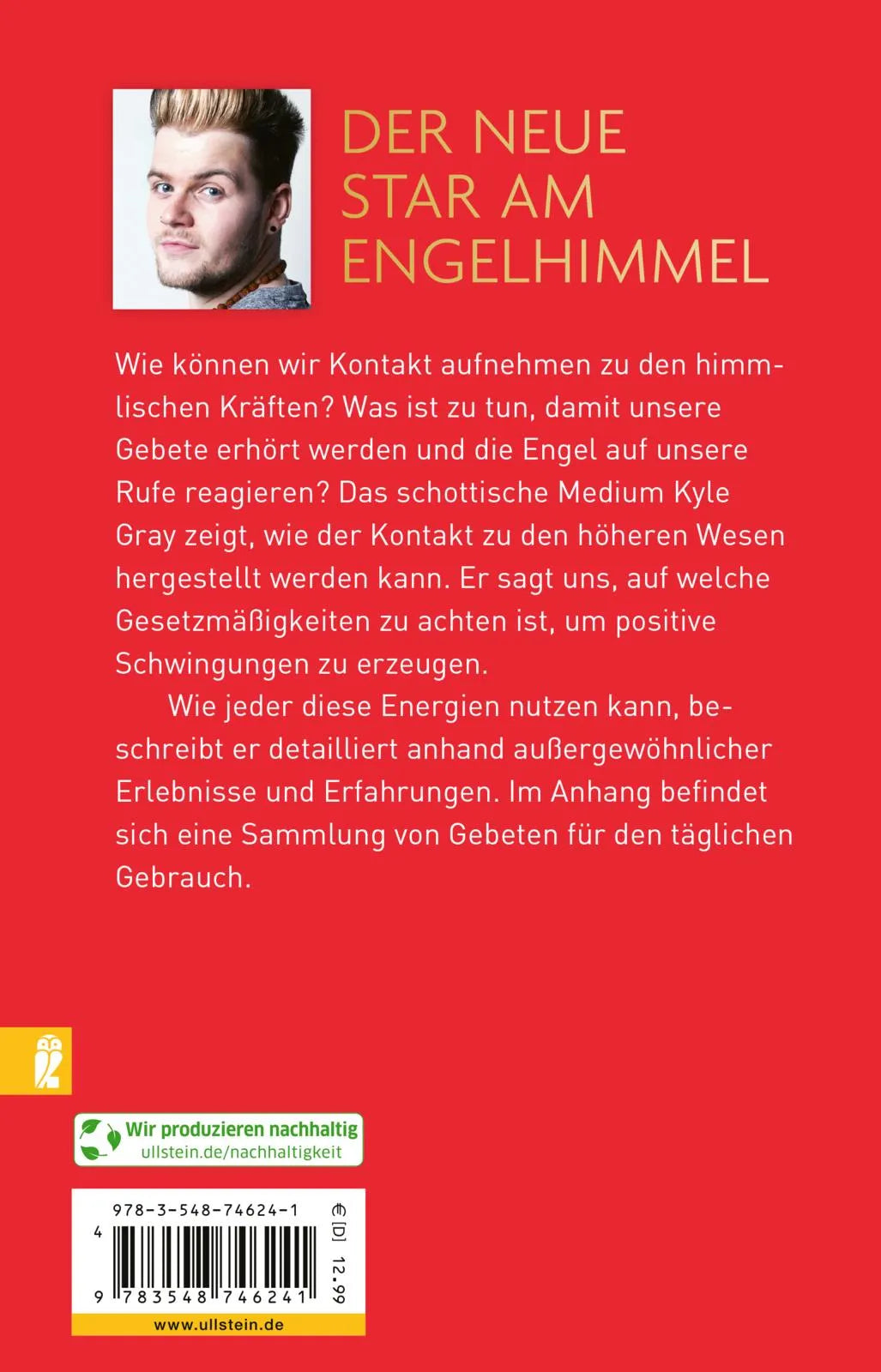 Buchrückseite von 'Hallo Engel!' mit Klappentext - Taschenbuch
