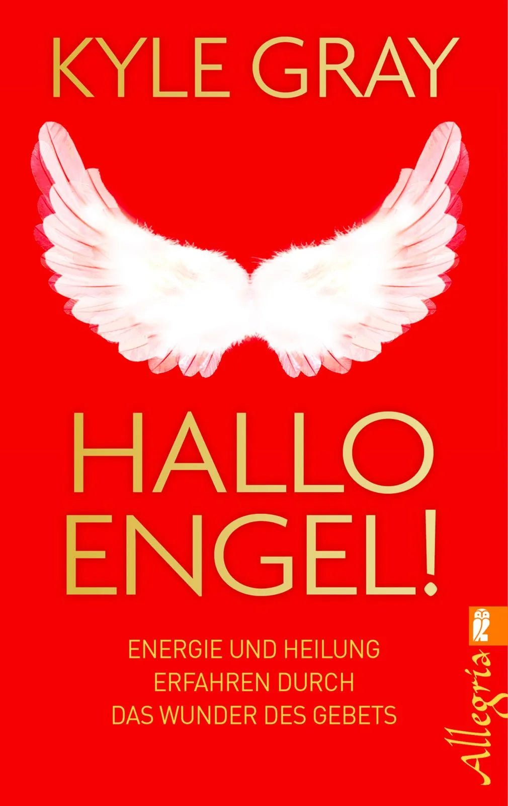 Buchcover von 'Hallo Engel!' - Taschenbuch von Kyle Gray