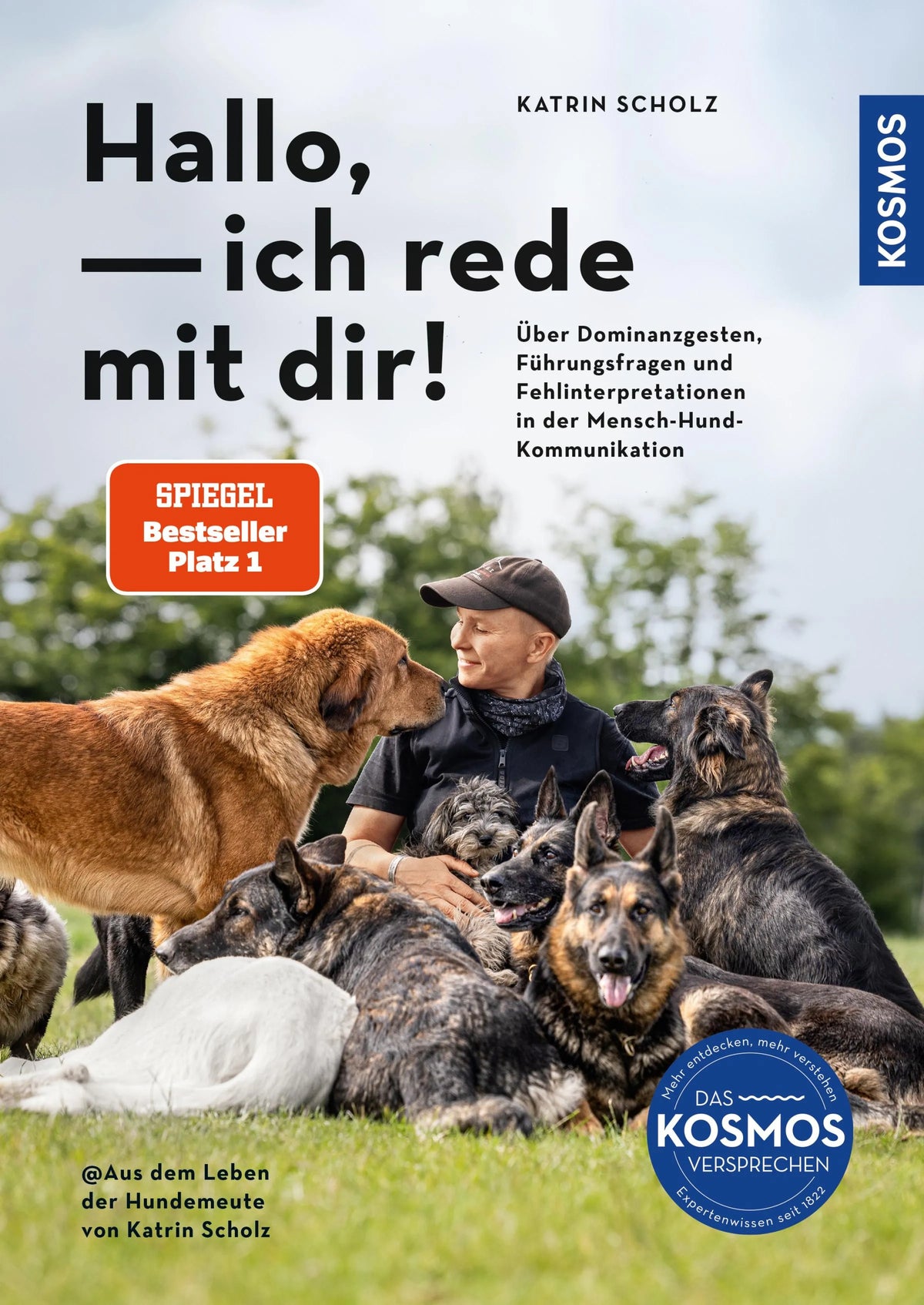 Cover: Hallo, ich rede mit dir! (E-Book) von Katrin Scholz