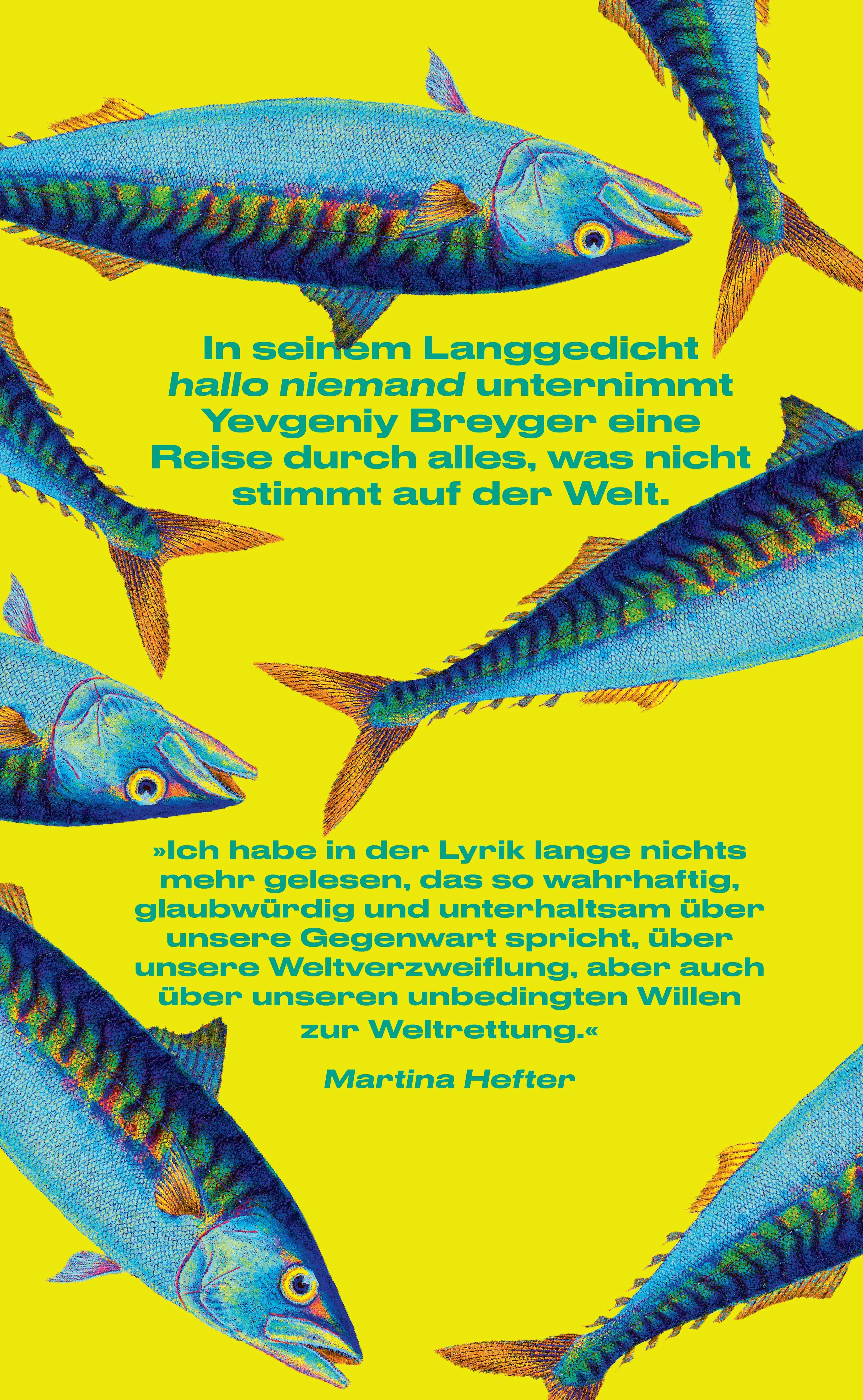 Rückseite: hallo niemand (Hardcover)