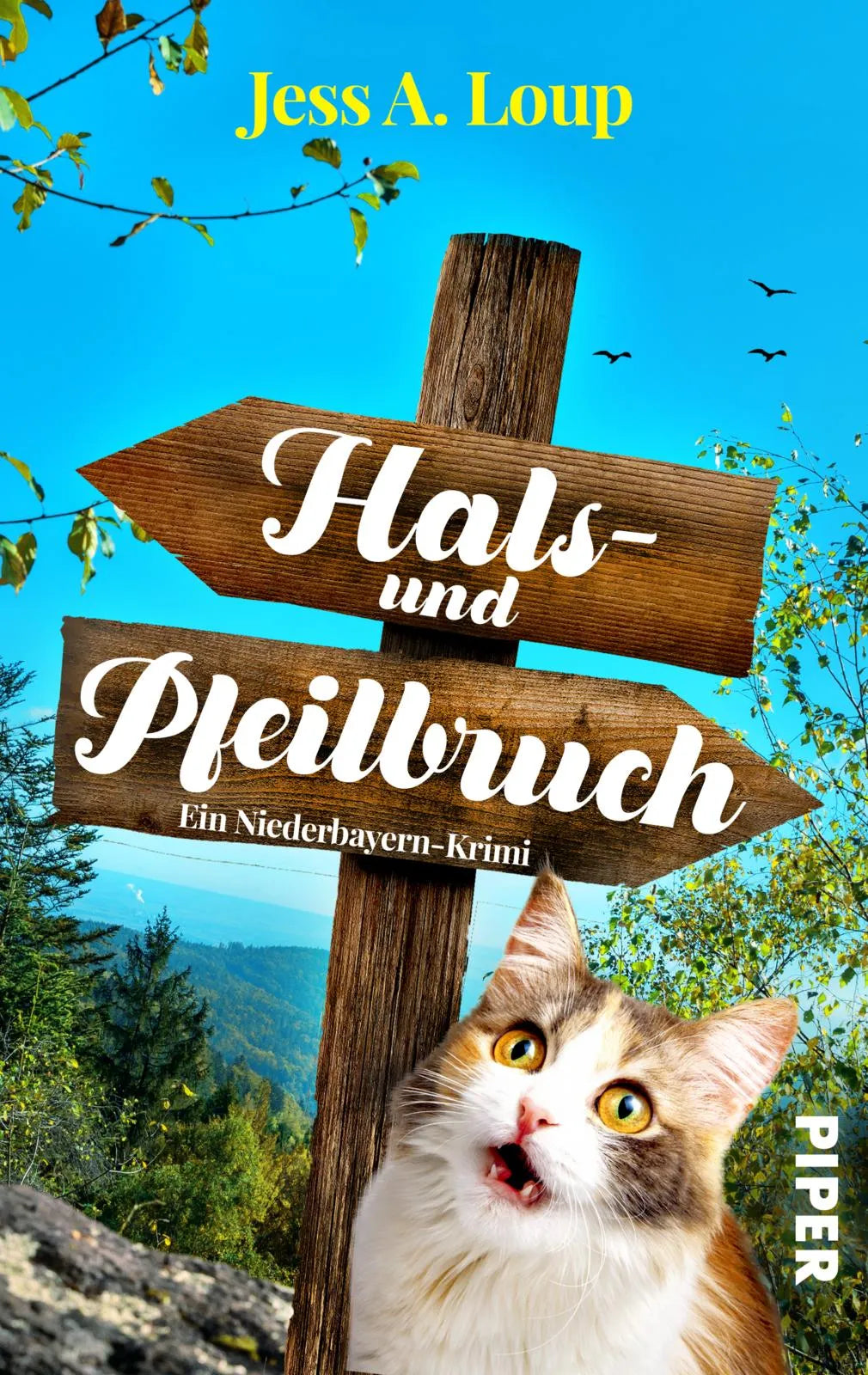 Buchcover von 'Hals- und Pfeilbruch' - Taschenbuch von Jess A. Loup