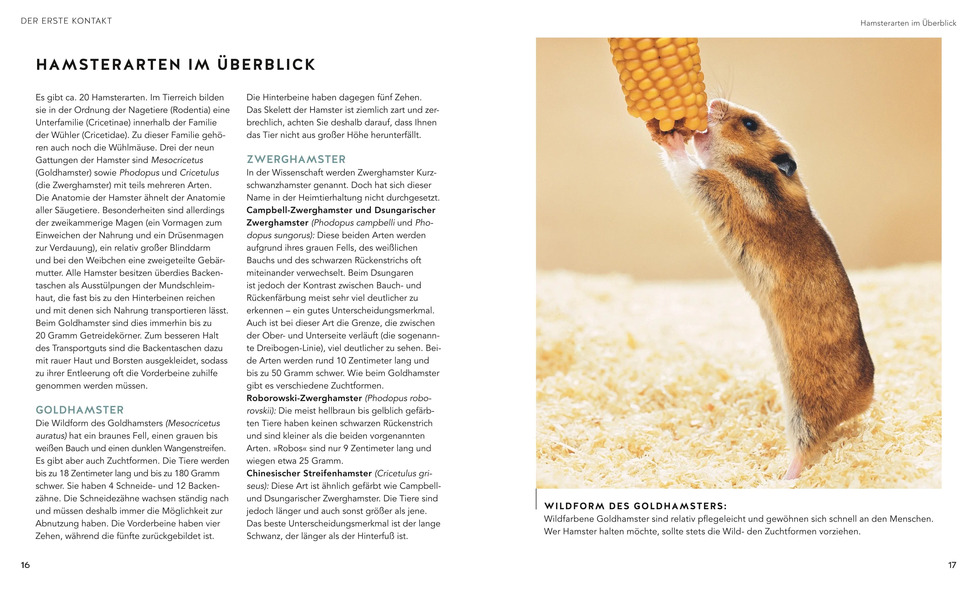 Peter Fritzsche - Hamster