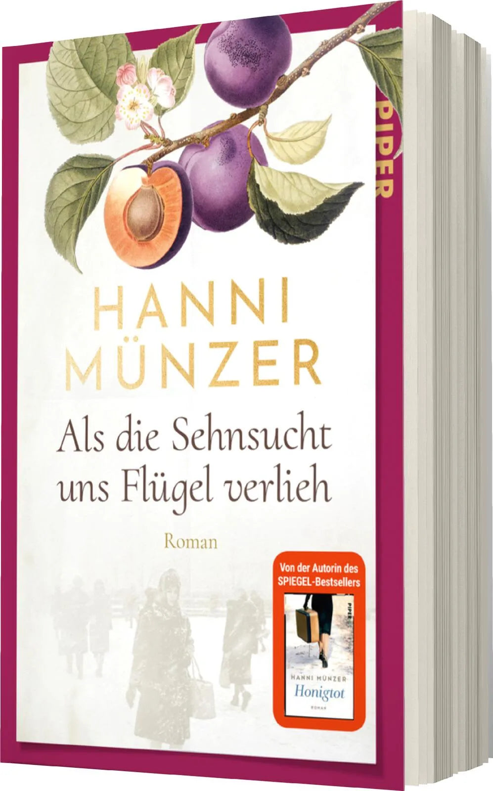 Produktansicht: Als die Sehnsucht uns Flügel verlieh (Taschenbuch)