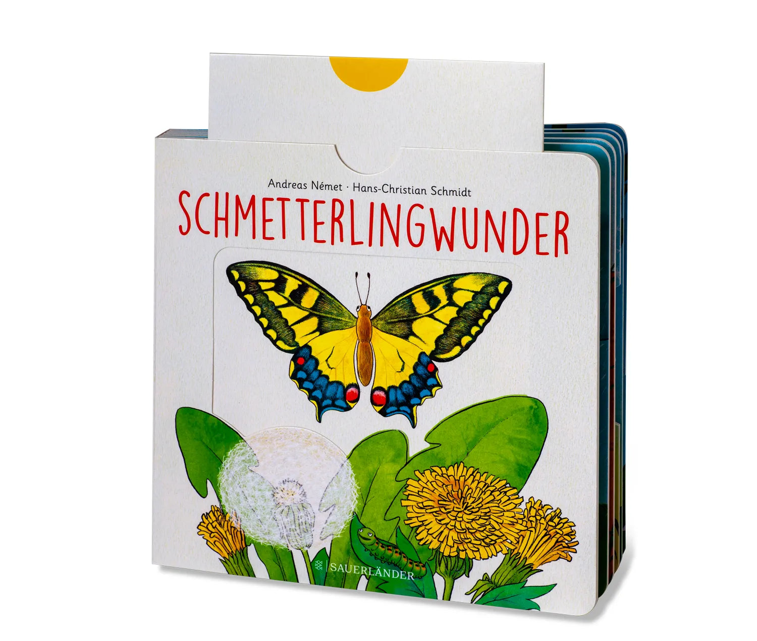 Produktansicht: Schmetterlingwunder (Gebundene Ausgabe)