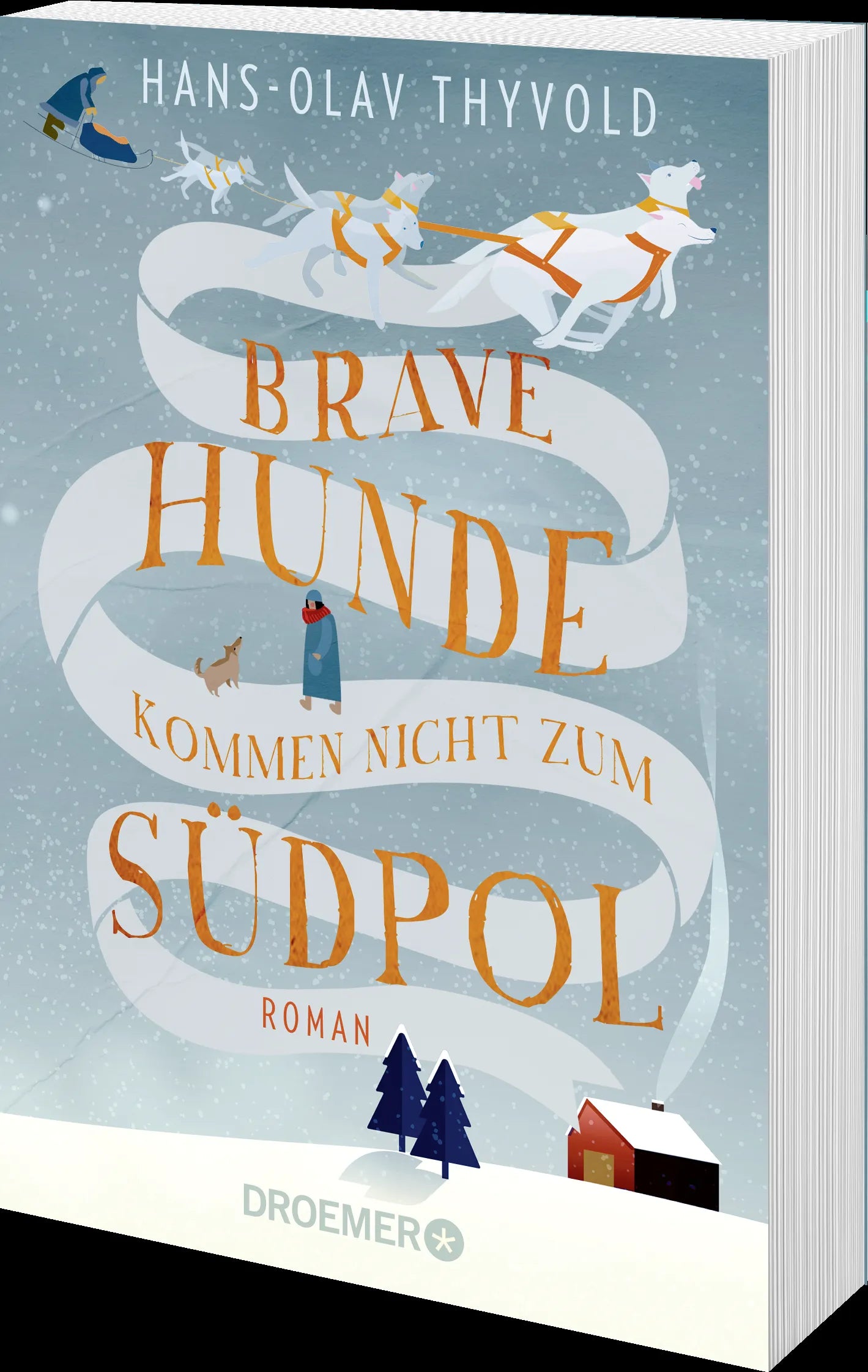 Produktansicht: Brave Hunde kommen nicht zum Südpol (Taschenbuch)