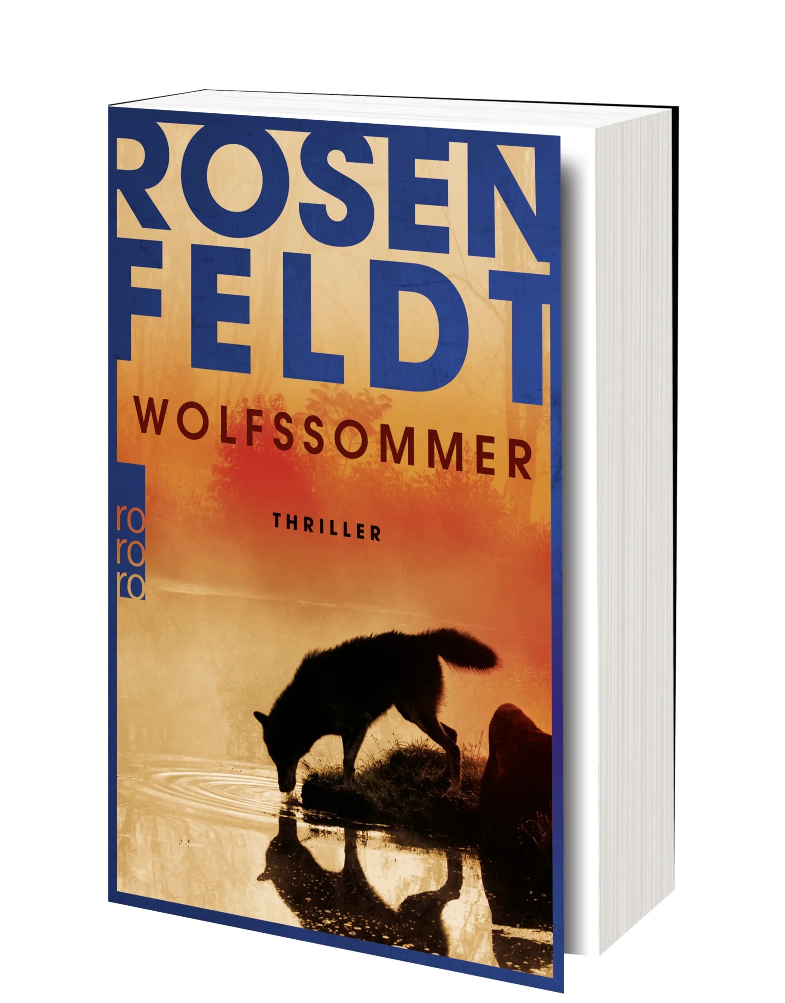Produktansicht: Wolfssommer (Taschenbuch)