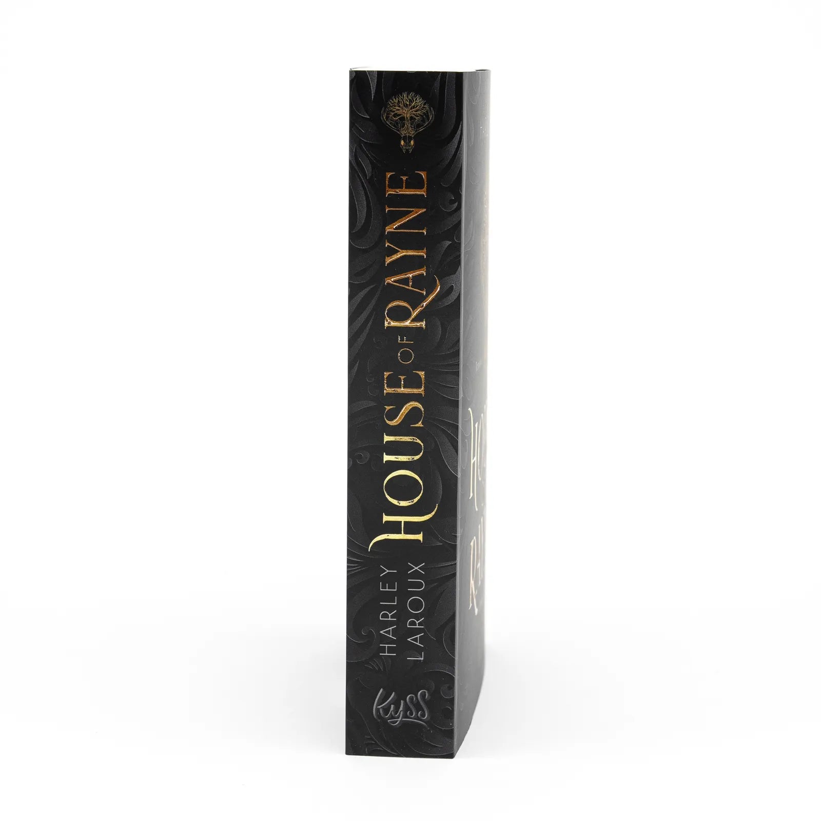Produktansicht: House of Rayne (Paperback)