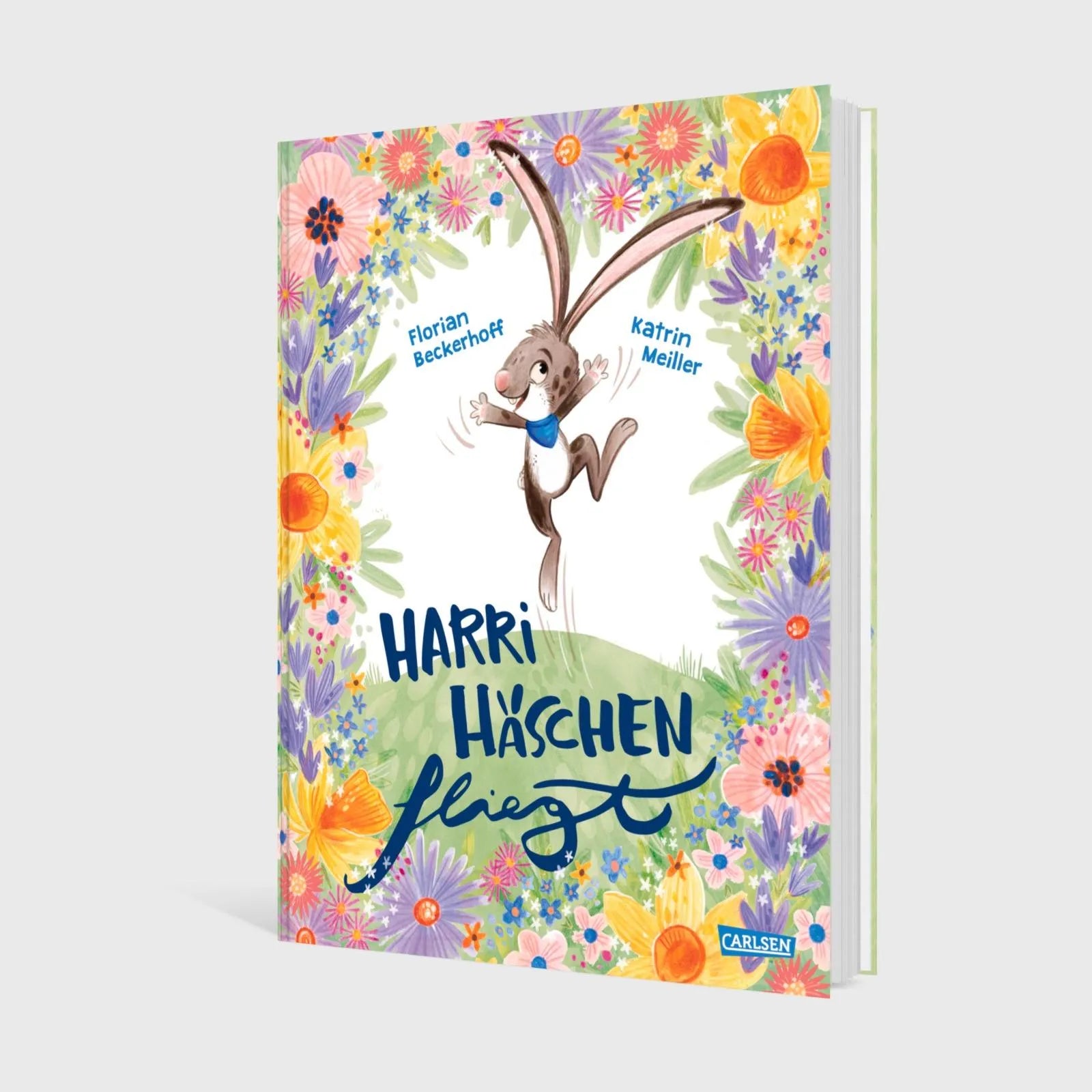Produktansicht: Harri Häschen fliegt (Gebundene Ausgabe)