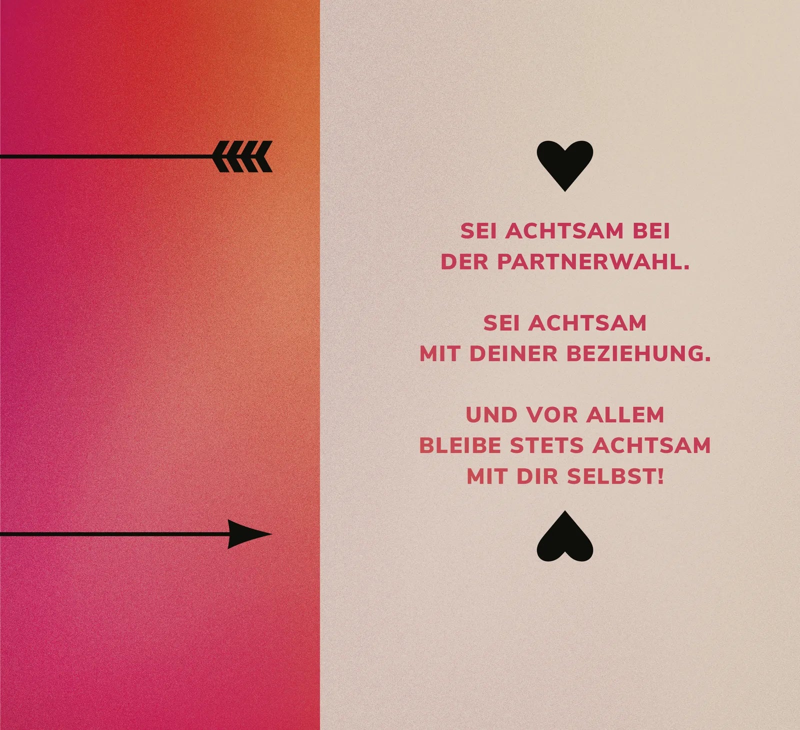 Birgit Fehst - Harte Wahrheiten aus dem Leben einer Paartherapeutin
