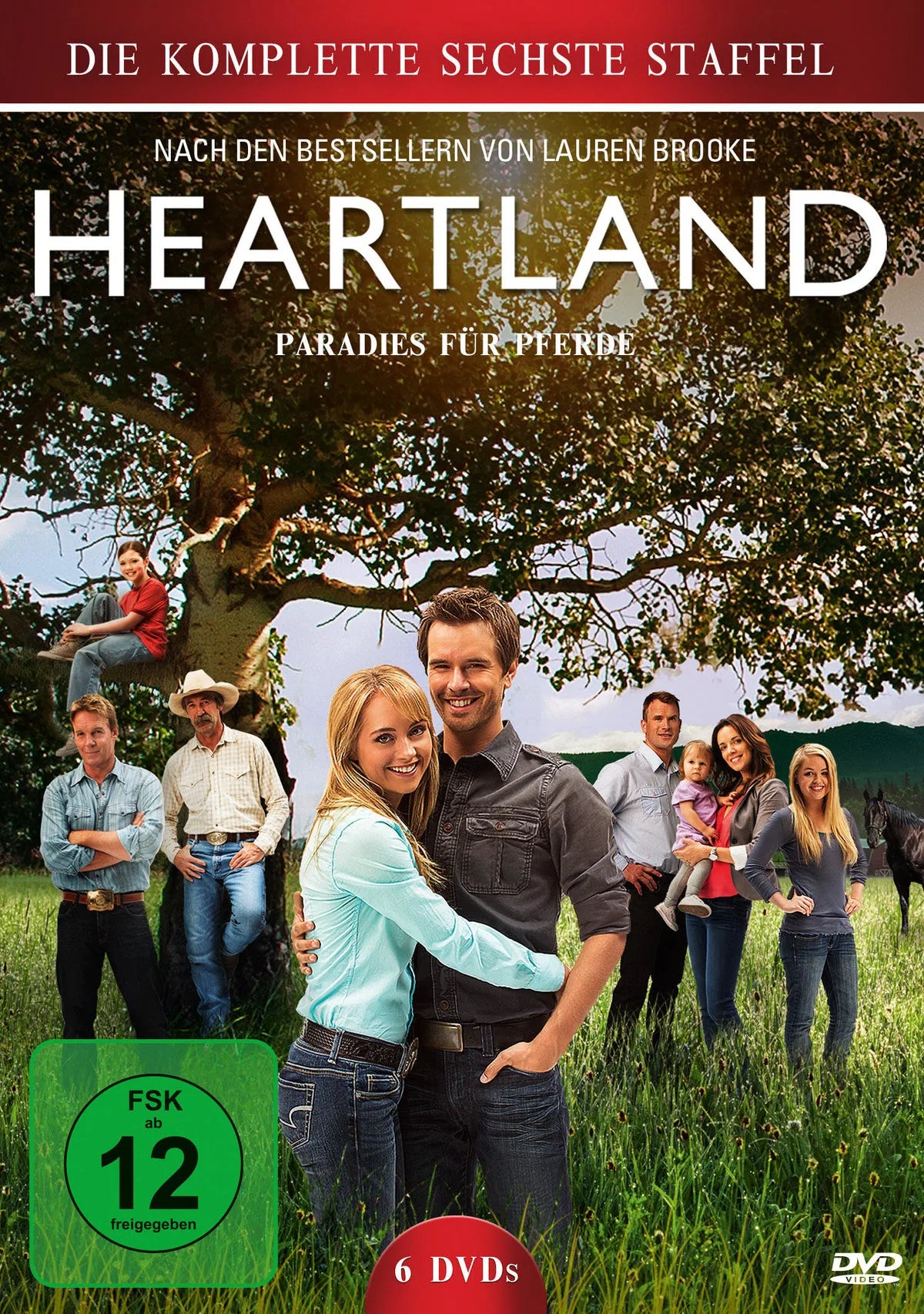 Heartland - Staffel 6  [6 DVDs] - DVD