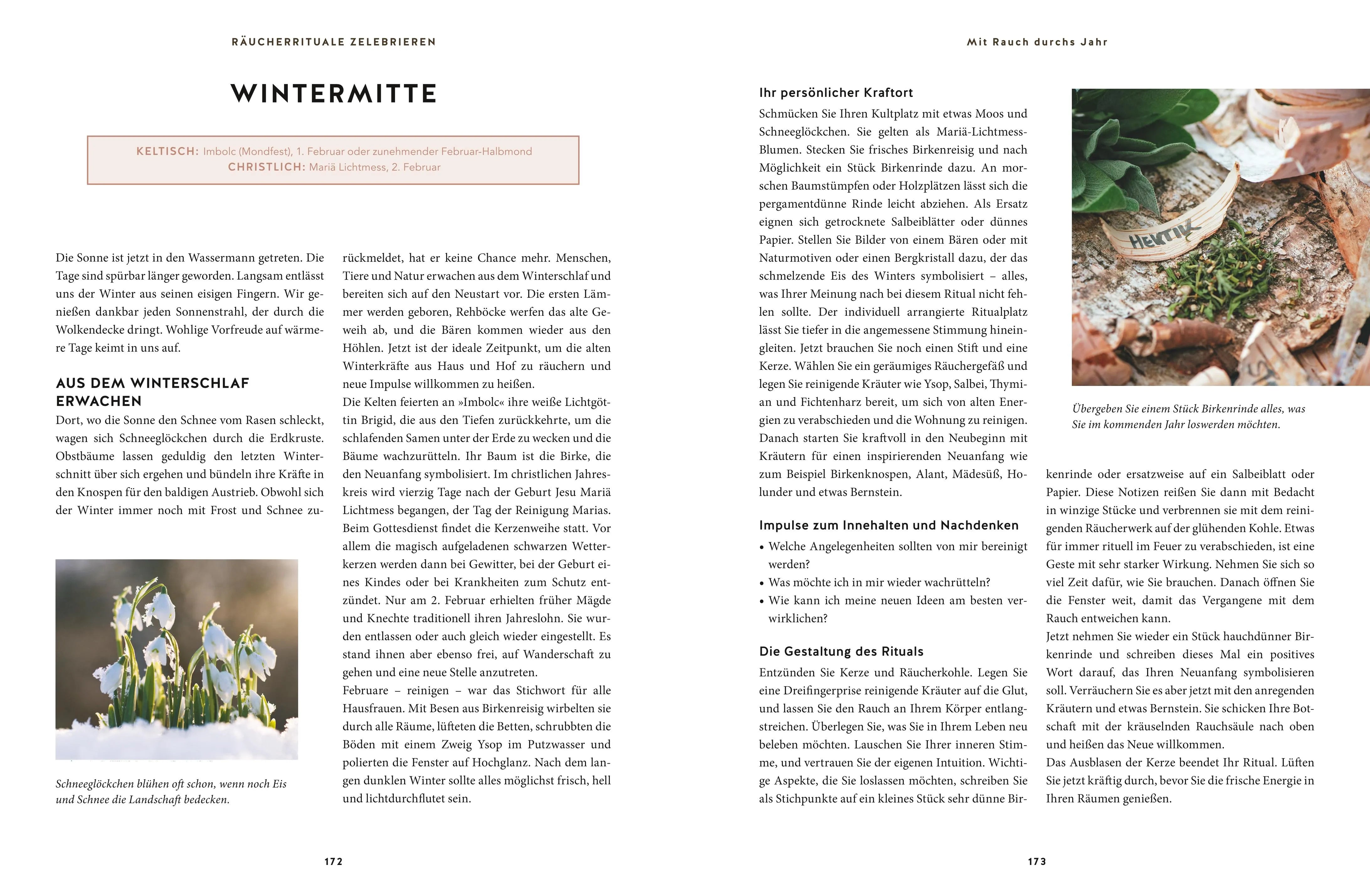 Produktansicht: Heilsames Räuchern mit Wildpflanzen (Gebundene Ausgabe)