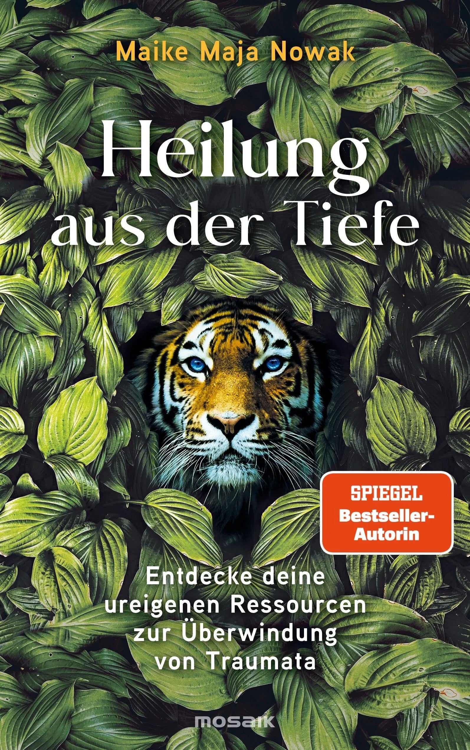 Cover: Heilung aus der Tiefe (Hardcover) von Maike Maja Nowak