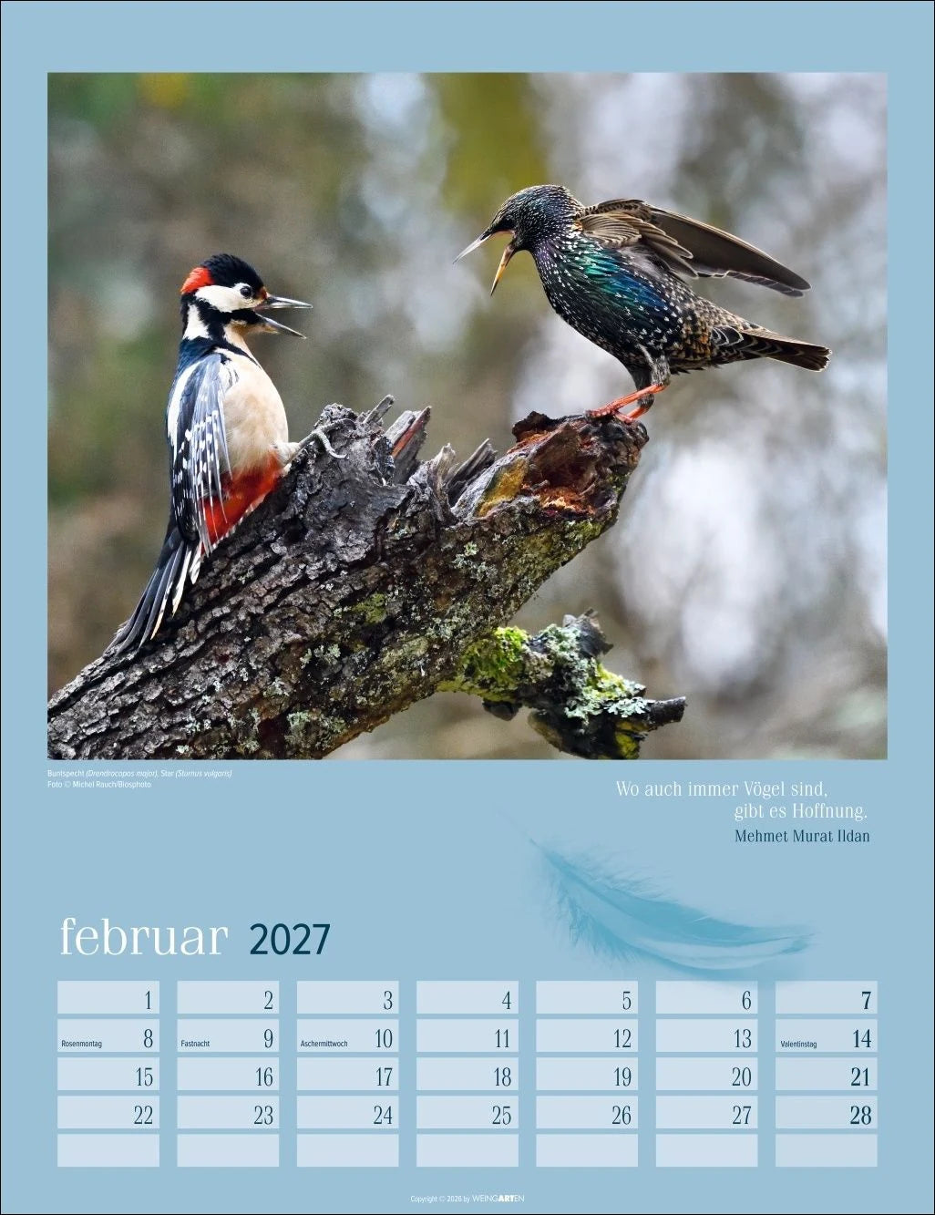 Heimische Vögel Kalender 2027 – Ansicht
