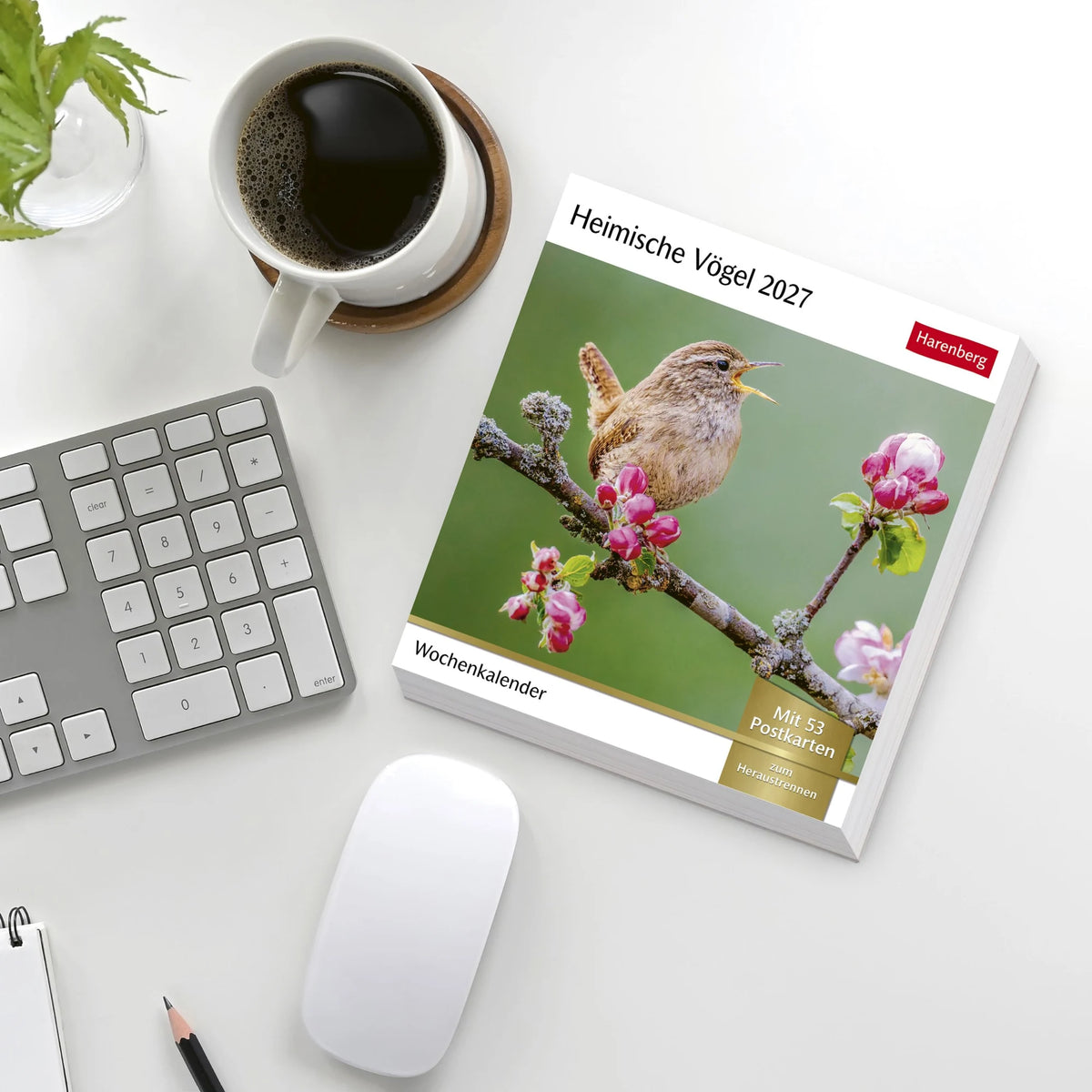 Heimische Vögel Postkartenkalender 2027 - Wochenkalender mit 53 Postkarten – Ansicht