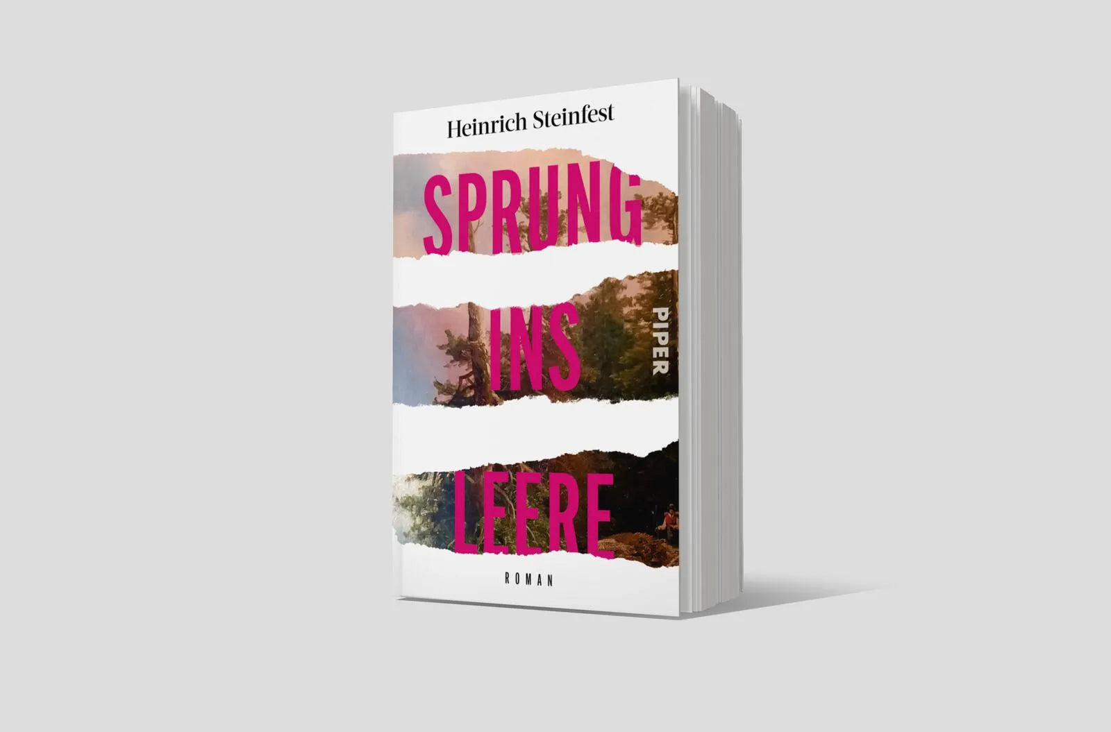 Produktansicht: Sprung ins Leere (Taschenbuch)