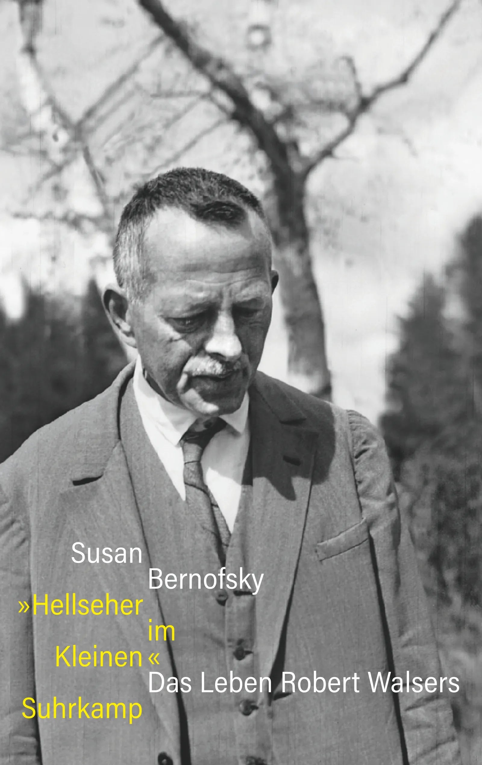 Cover: »Hellseher im Kleinen« (E-Book) von Susan Bernofsky