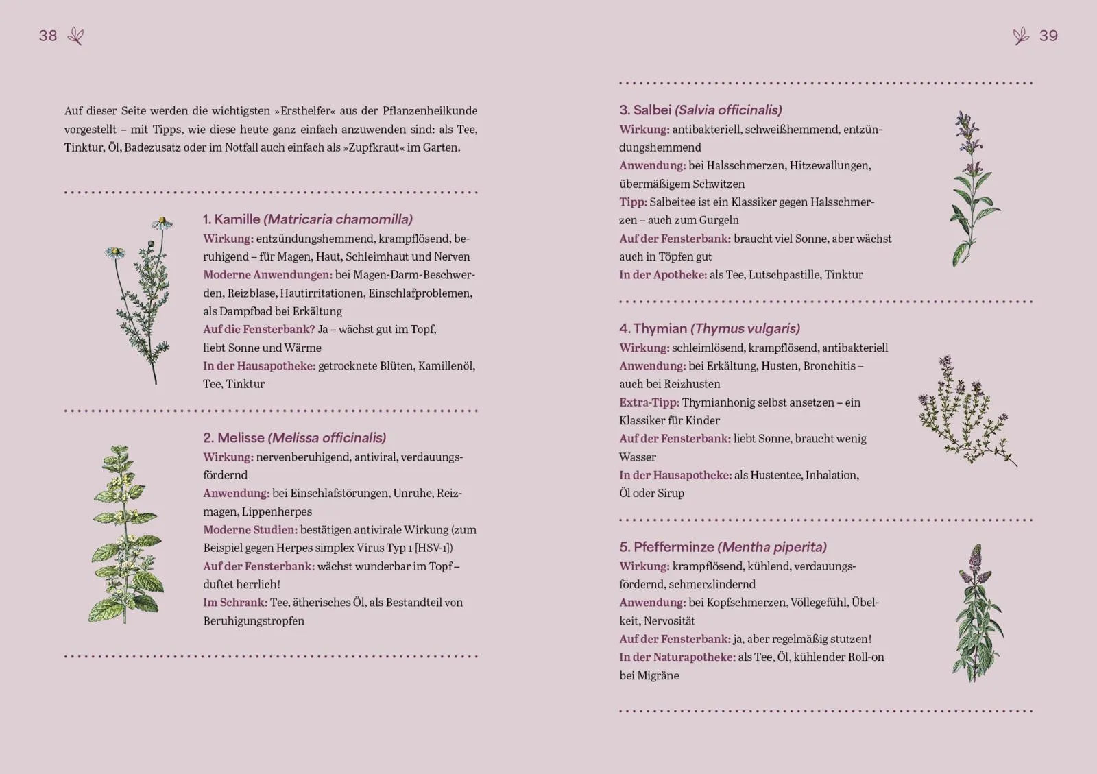 Innenansicht von 'Herbal Healing – Medizin aus der Natur' - Taschenbuch
