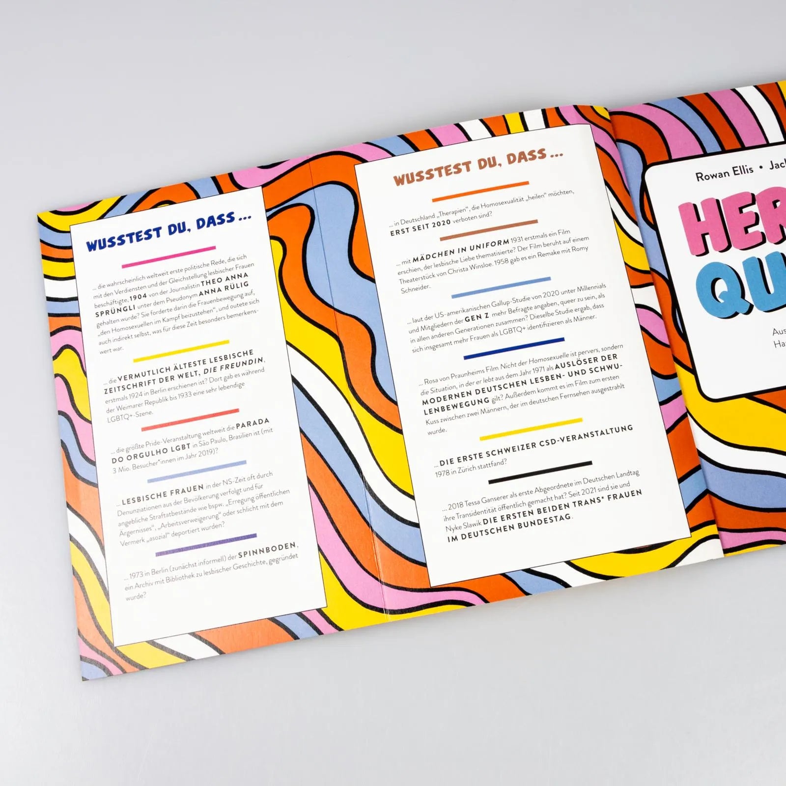 Produktansicht: Here and queer (Taschenbuch)