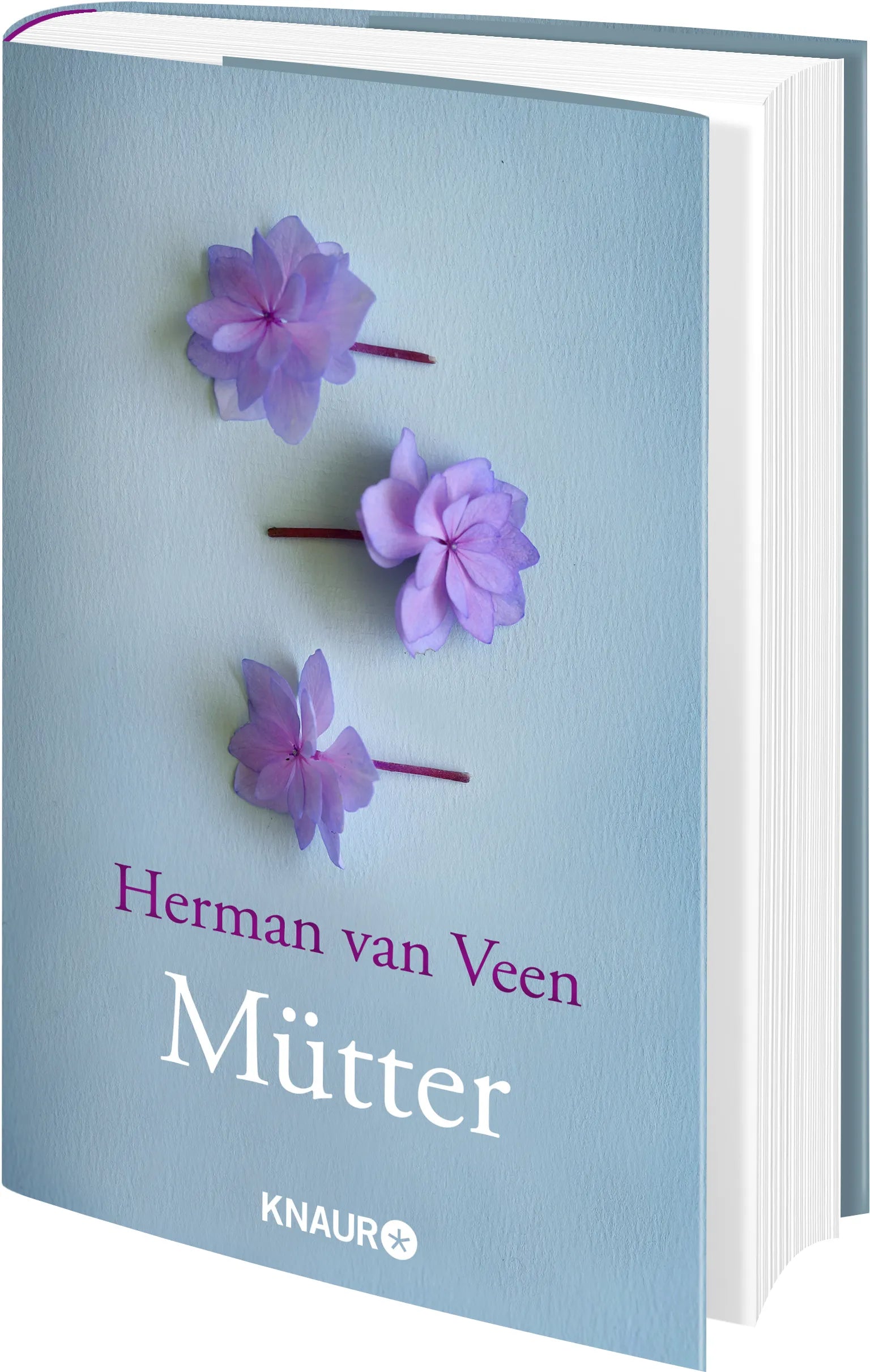 Produktansicht: Mütter (Gebundene Ausgabe)