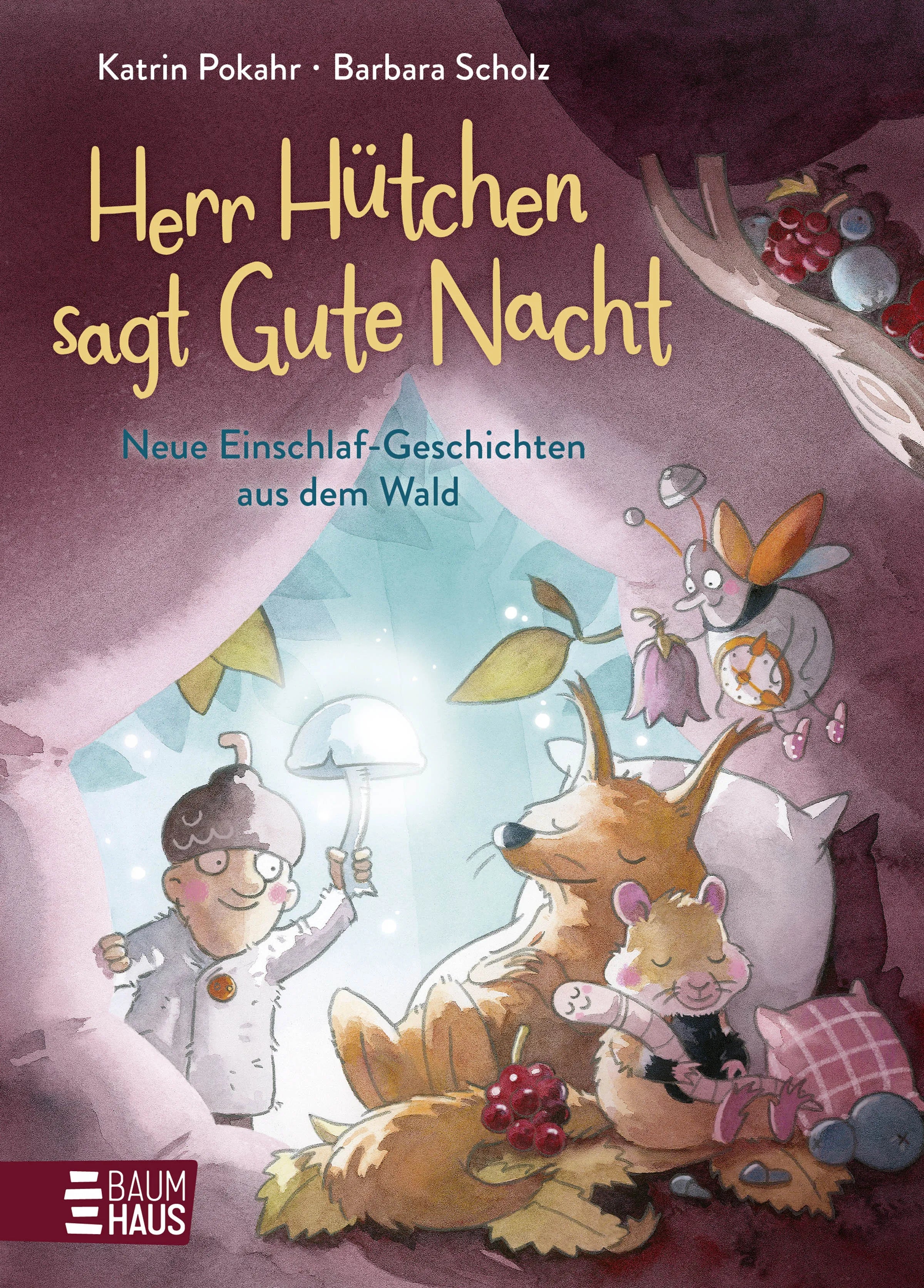 Buchcover von 'Herr Hütchen sagt Gute Nacht - Neue Einschlaf-Geschichten aus dem Wald' - Gebundene Ausgabe von Katrin Pokahr