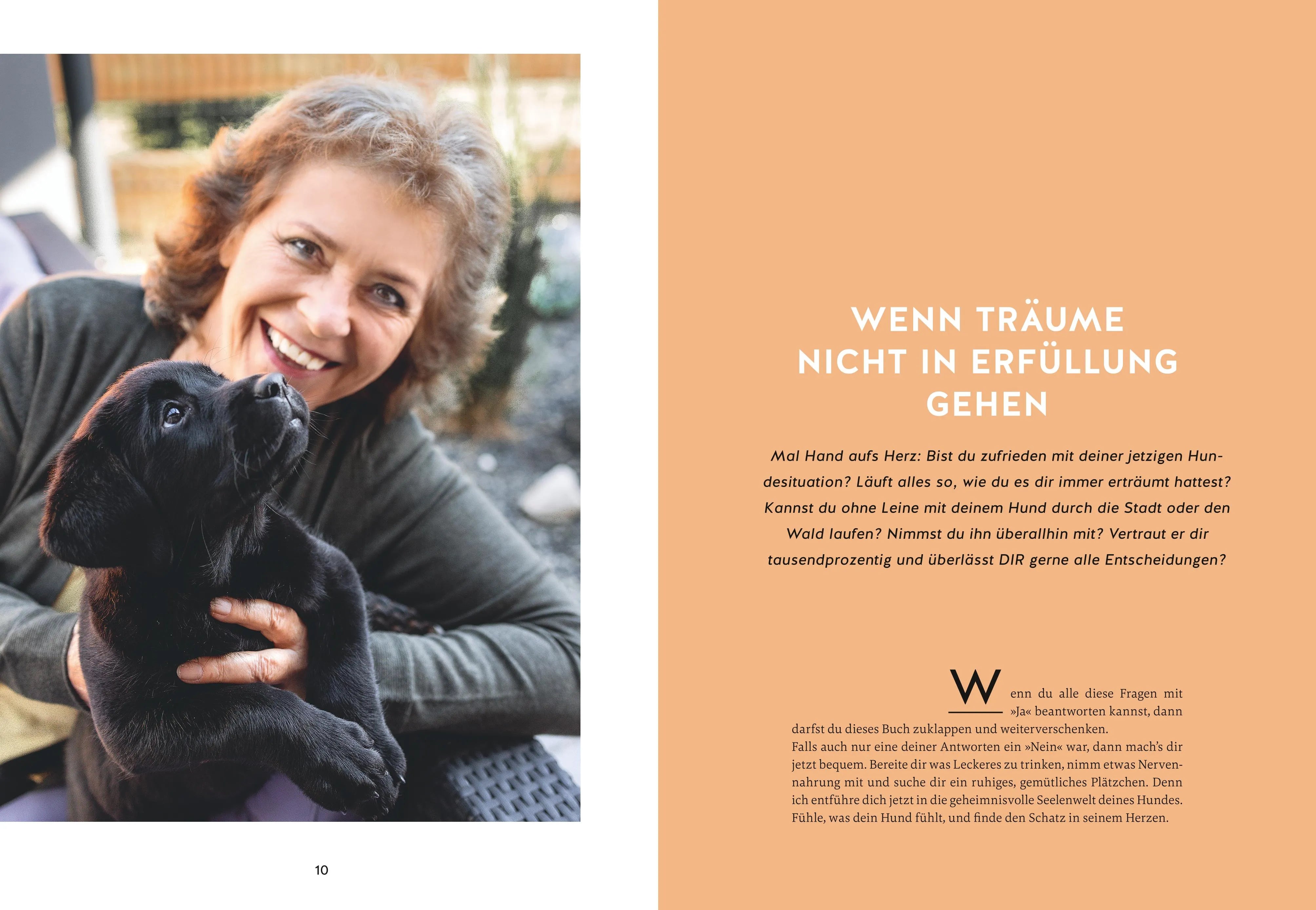 Produktansicht: Herz über Kopf (Gebundene Ausgabe)