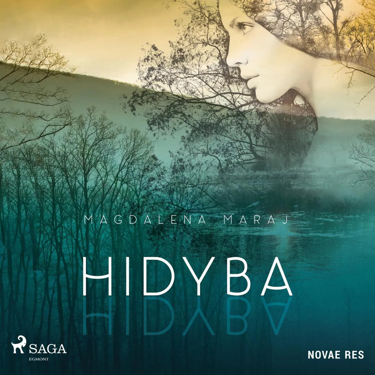Cover: Hidyba (Hörbuch Download) von Magdalena Maraj