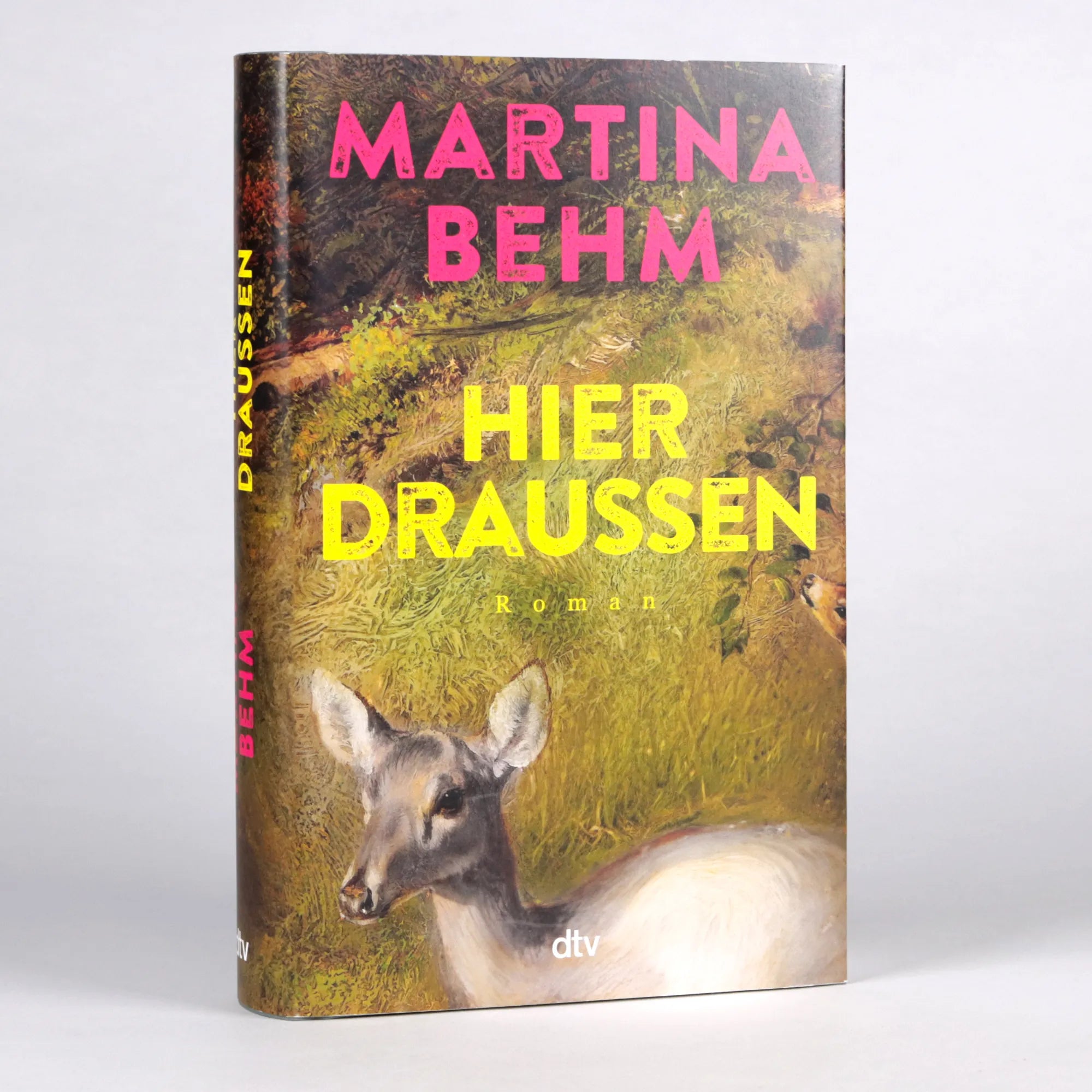 Detailansicht: Hier draußen (Hardcover)