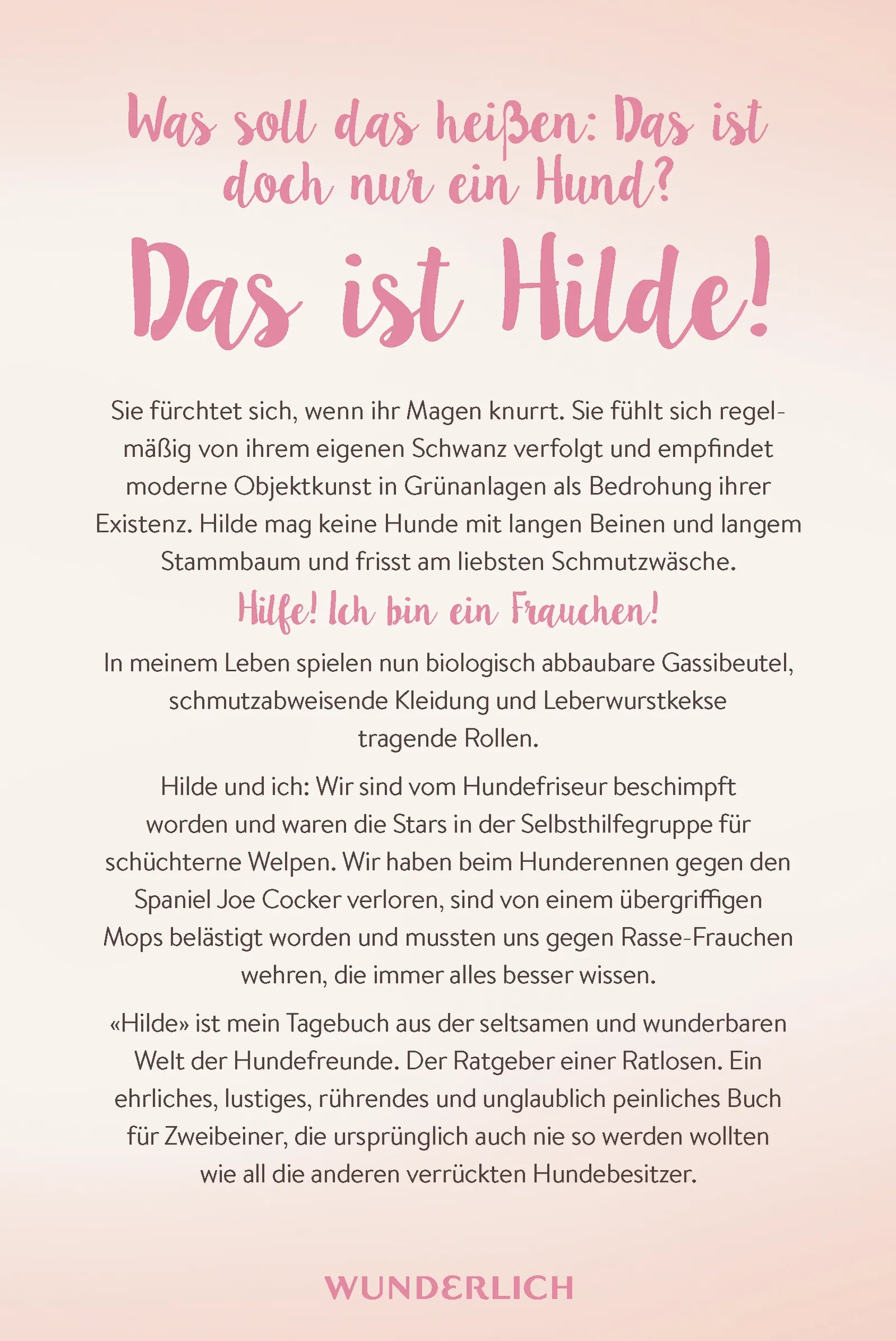 Buchrückseite von 'Hilde' mit Klappentext - Gebundene Ausgabe