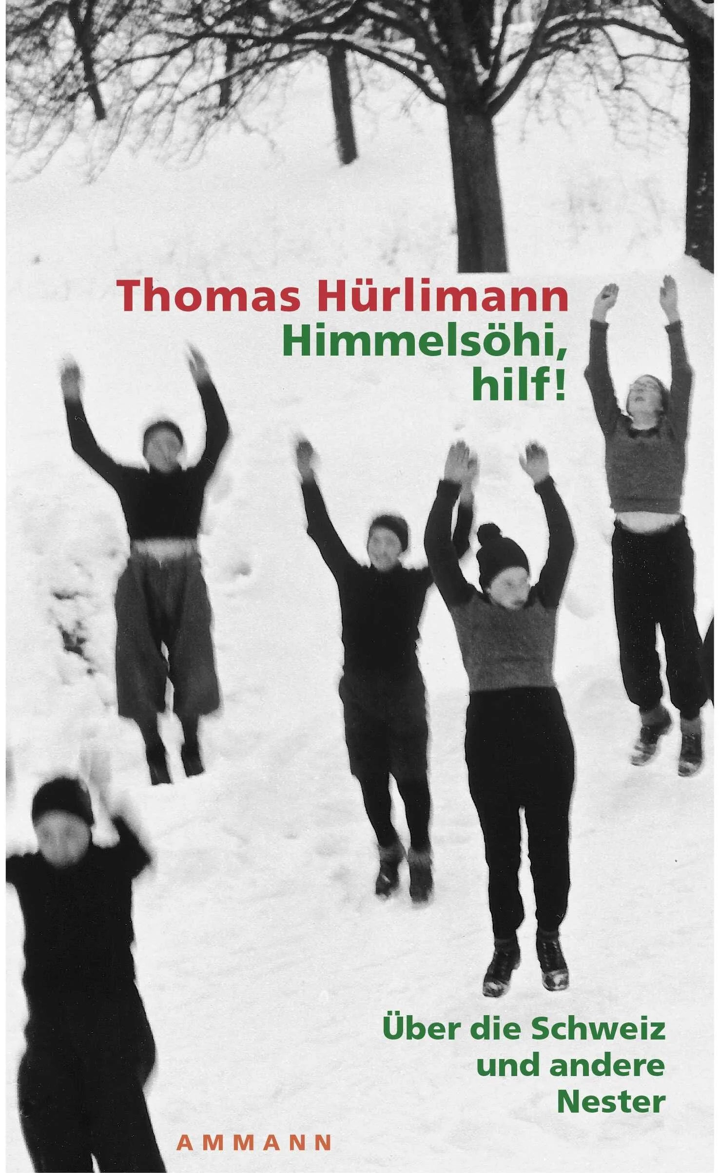 Buchcover von 'Himmelsöhi, hilf!' - Taschenbuch von Thomas Hürlimann