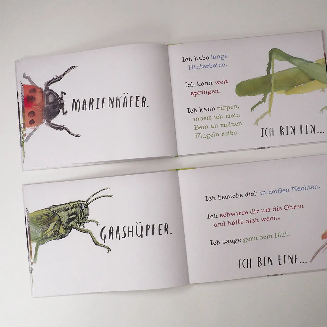 Produktansicht: Hinten und vorn - Alles, was krabbelt und fliegt (Gebundene Ausgabe)