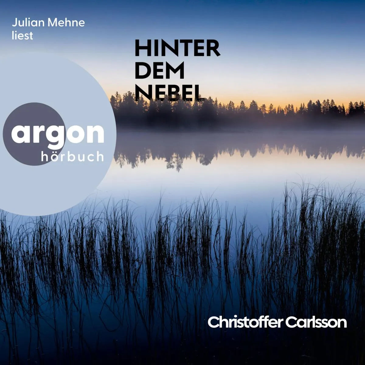 Cover: Hinter dem Nebel (Hörbuch Download) von Christoffer Carlsson