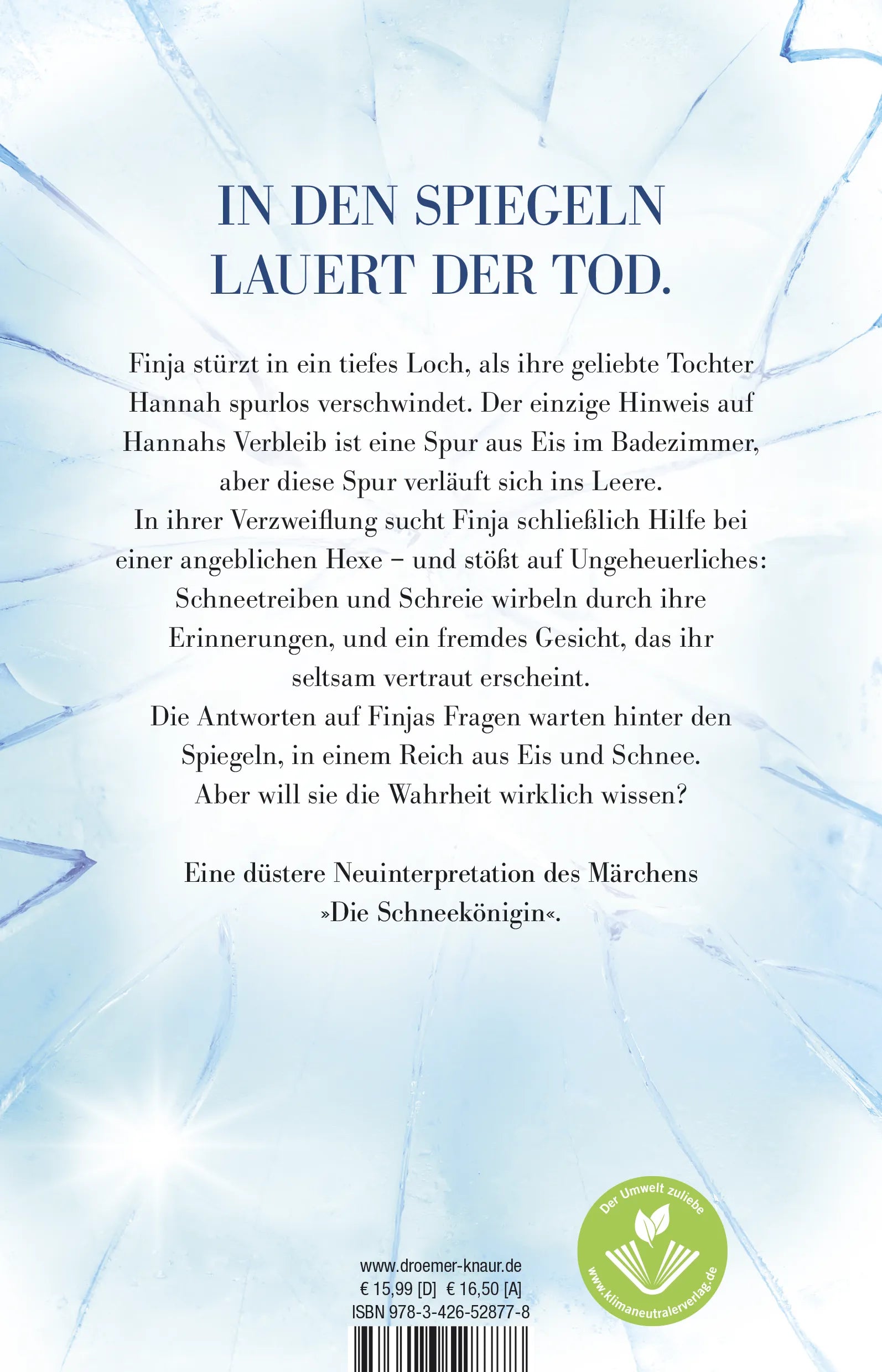 Buchrückseite von 'Hinter den Spiegeln so kalt' mit Klappentext - Paperback