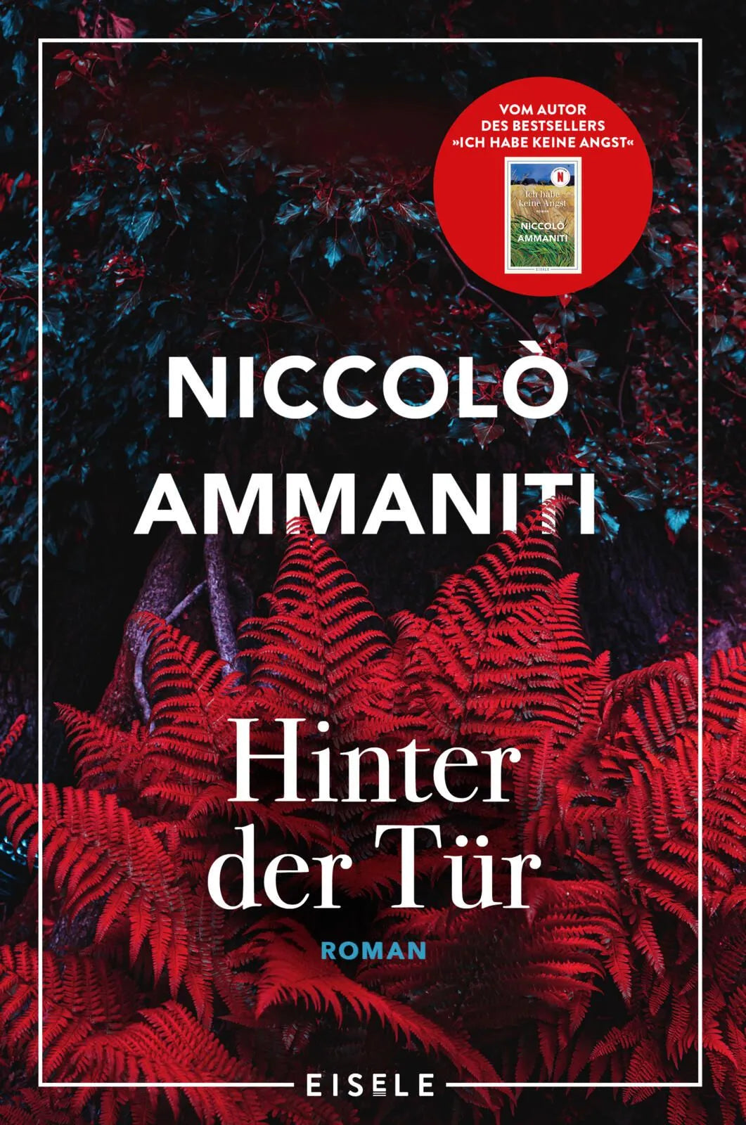 Cover: Hinter der Tür (Paperback) von Niccolò Ammaniti